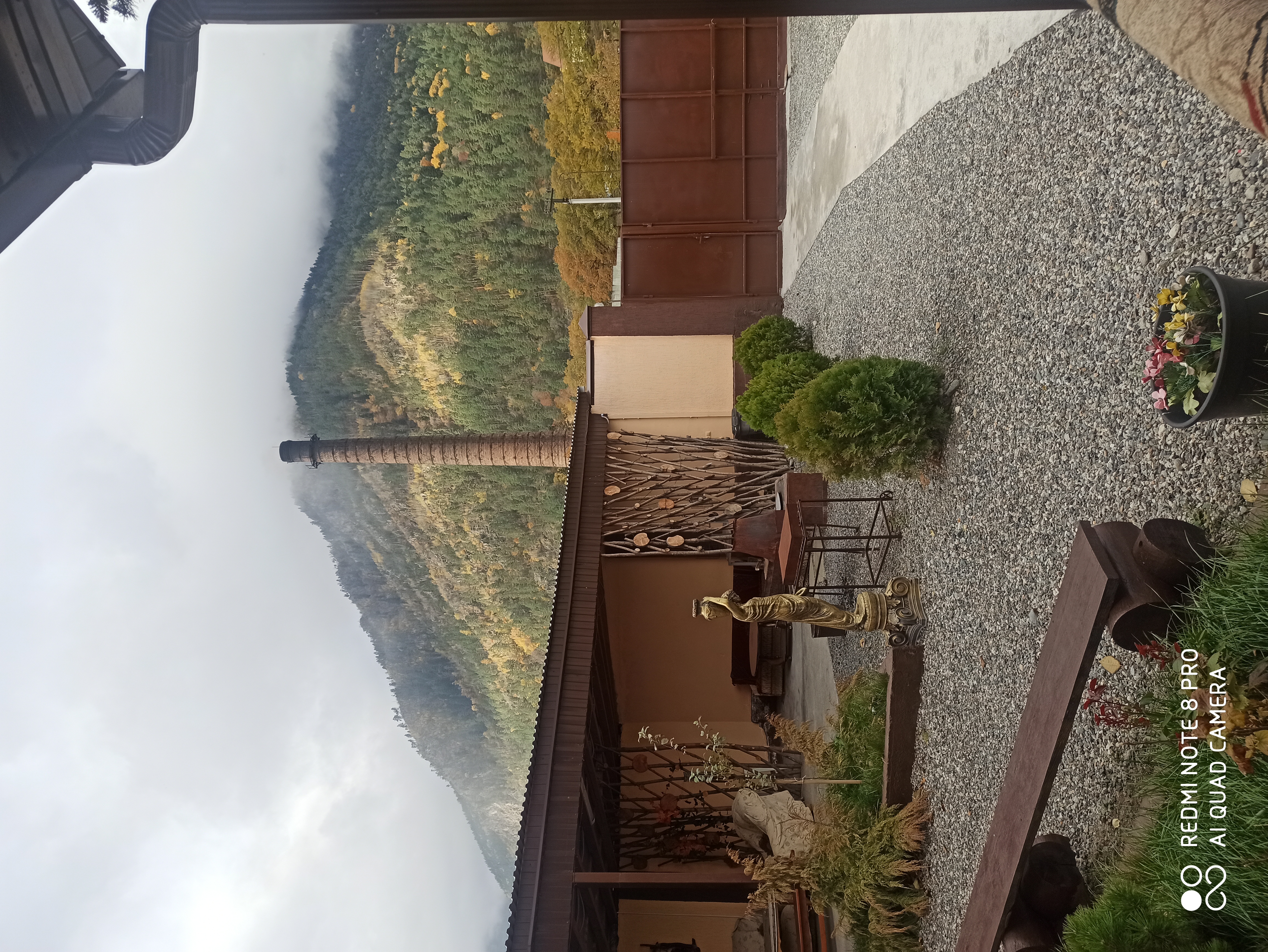 Фото Золотое Руно