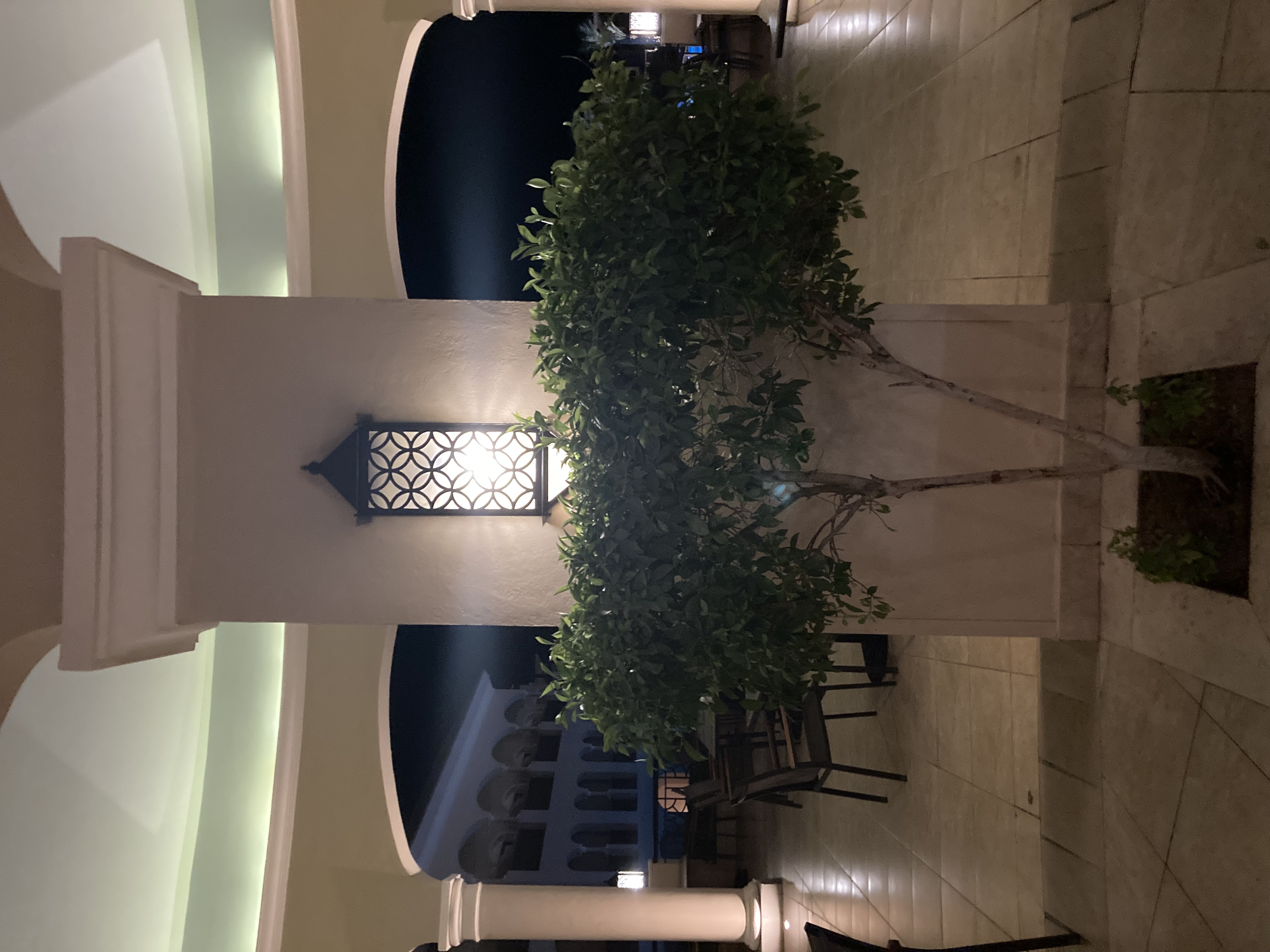 Фото Jaz Bluemarine