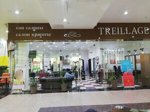 Treillage (Алматы, Ташкент тракті, 17К), сән салоны  Алматы облысында