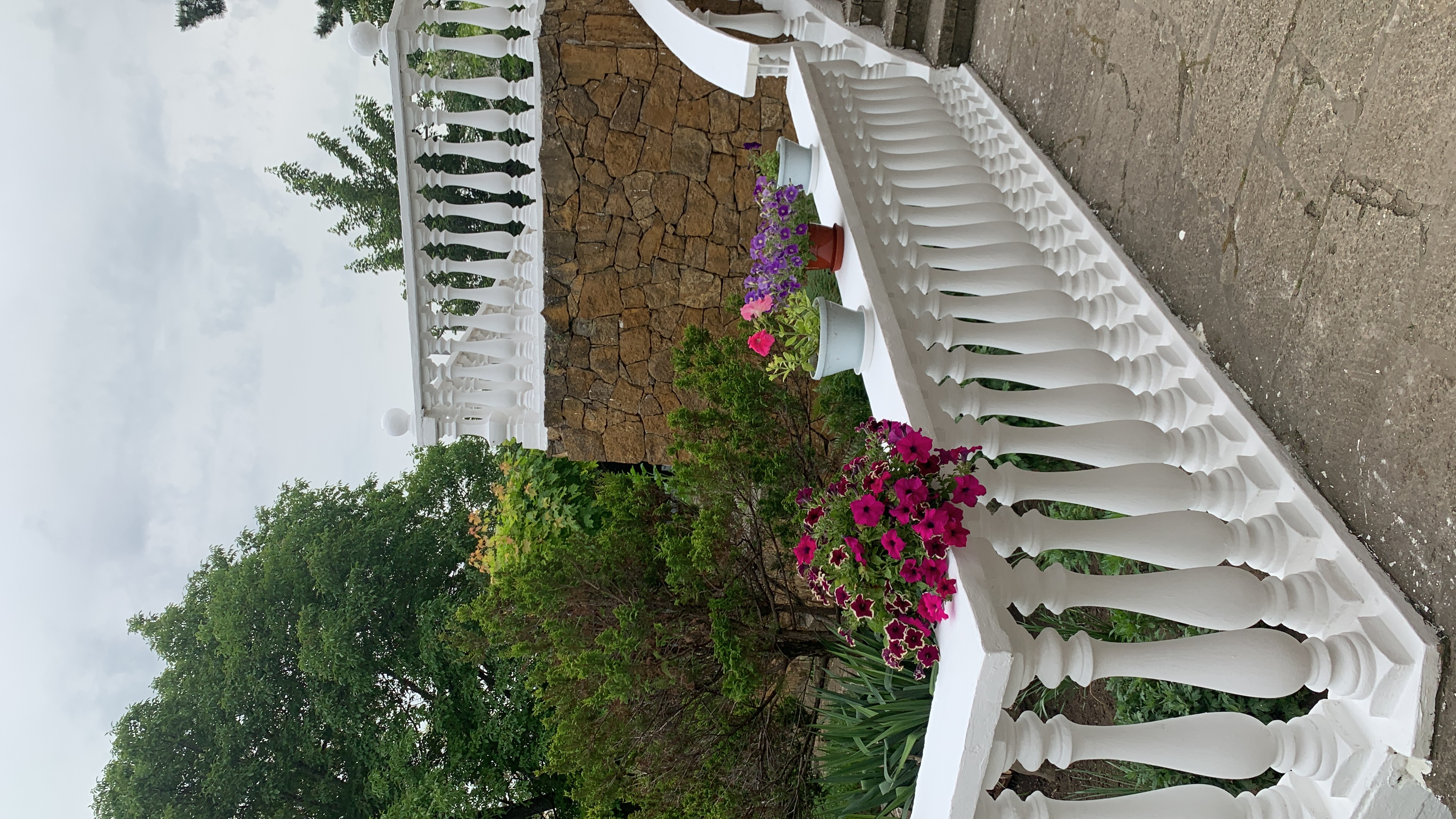 Фото Ласточка