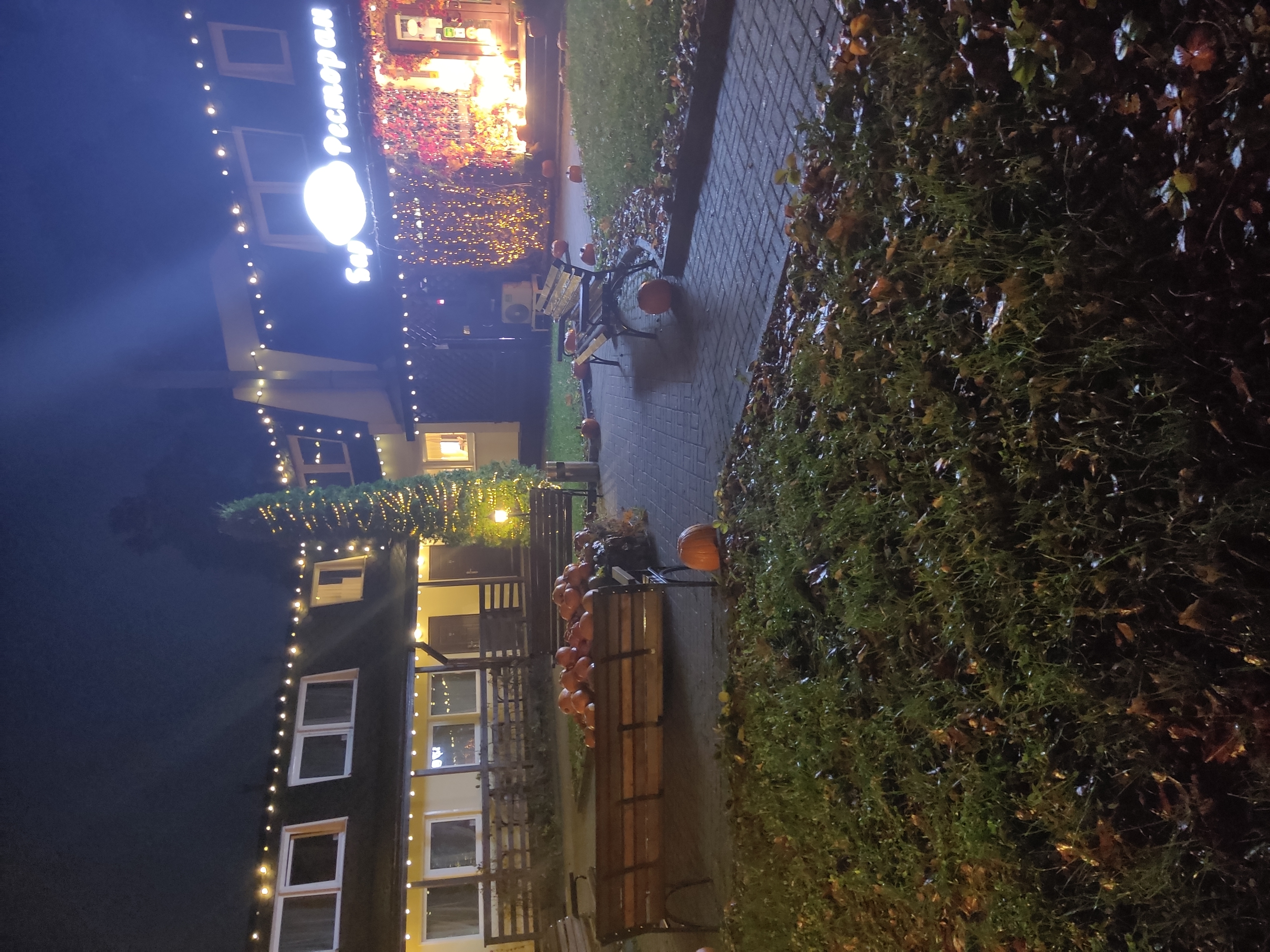 Фото Парк-отель