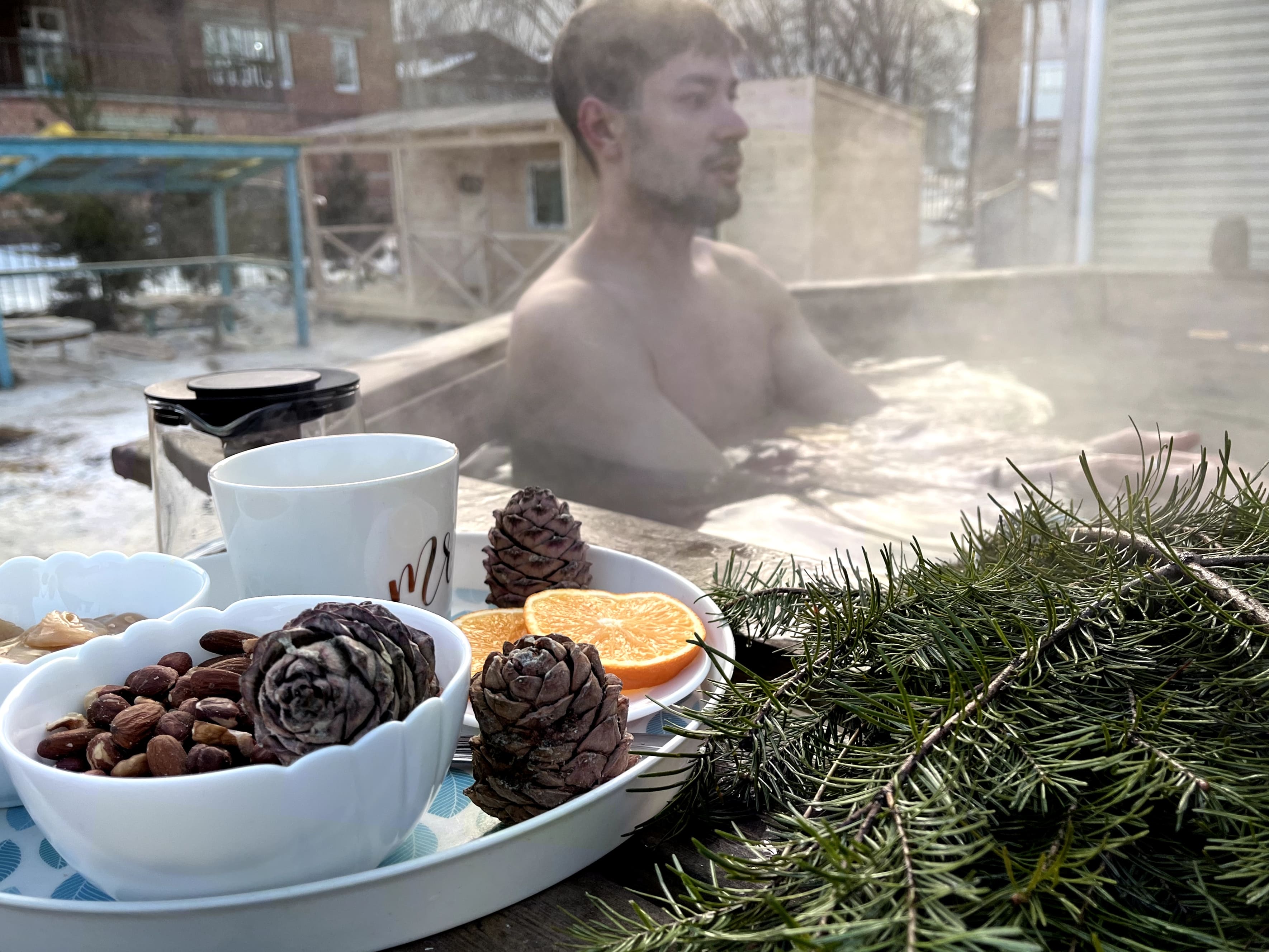 Фото Уютная Лиса