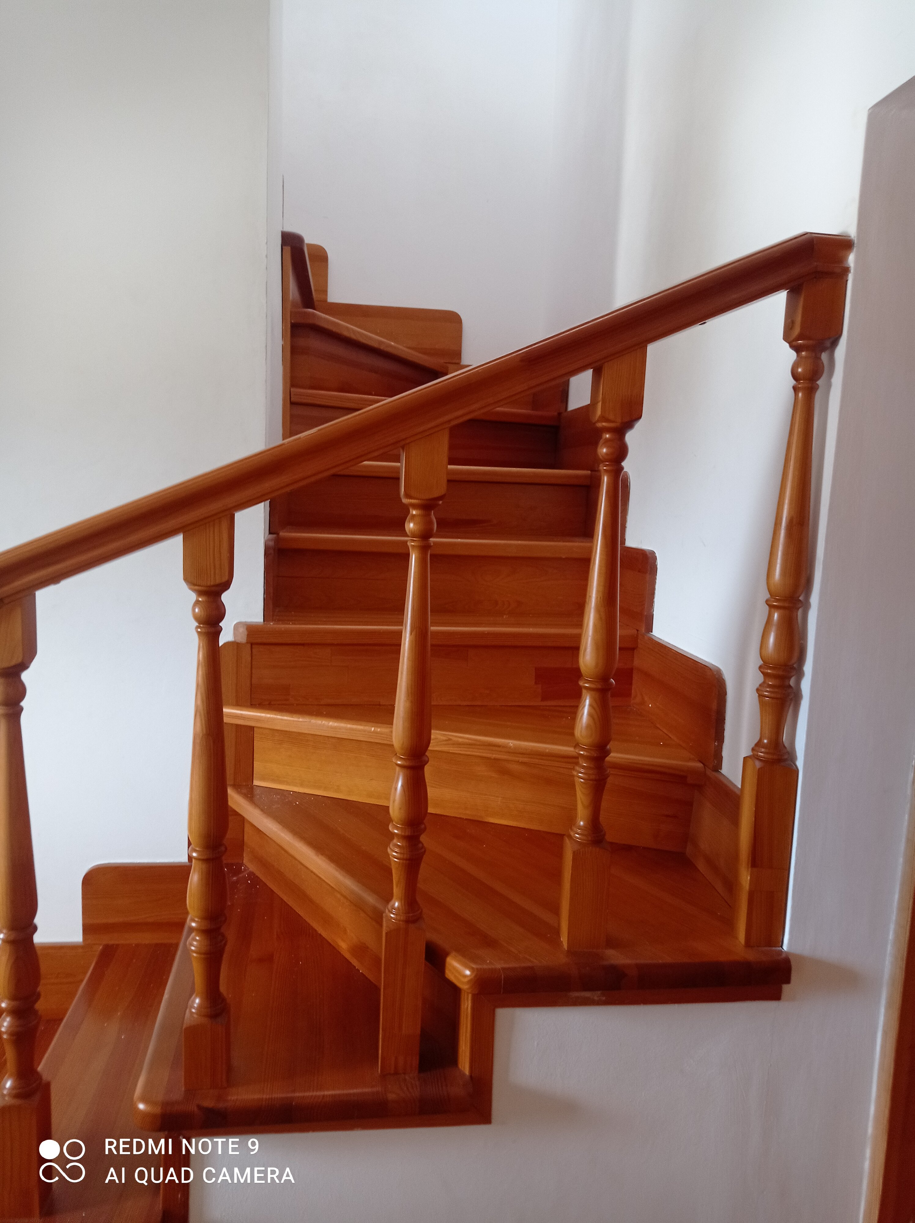 Фото Саттва