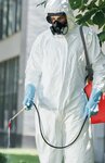 Debug Pest Control Services (73C, Hellium 1 Street, Community Jabal Ali Industrial First, Jebel Ali, Dubai), disinfection, disinsection, deratization