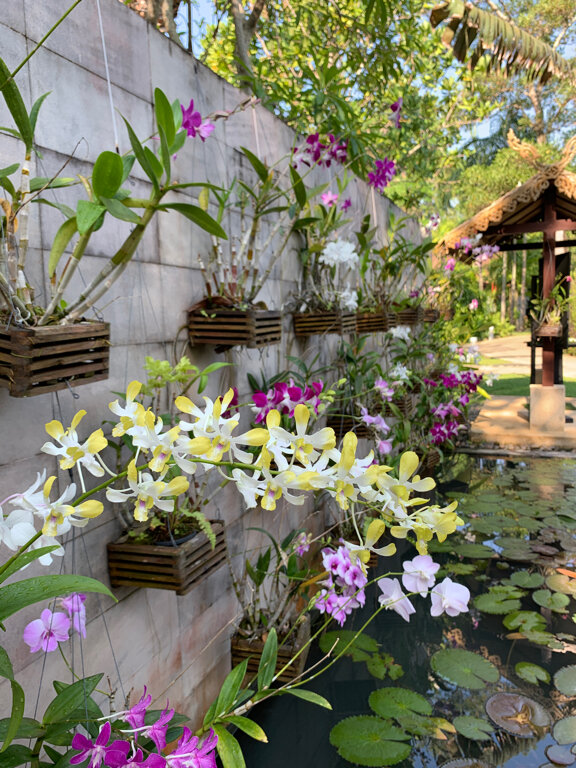 Фото Centara Karon Resort Phuket