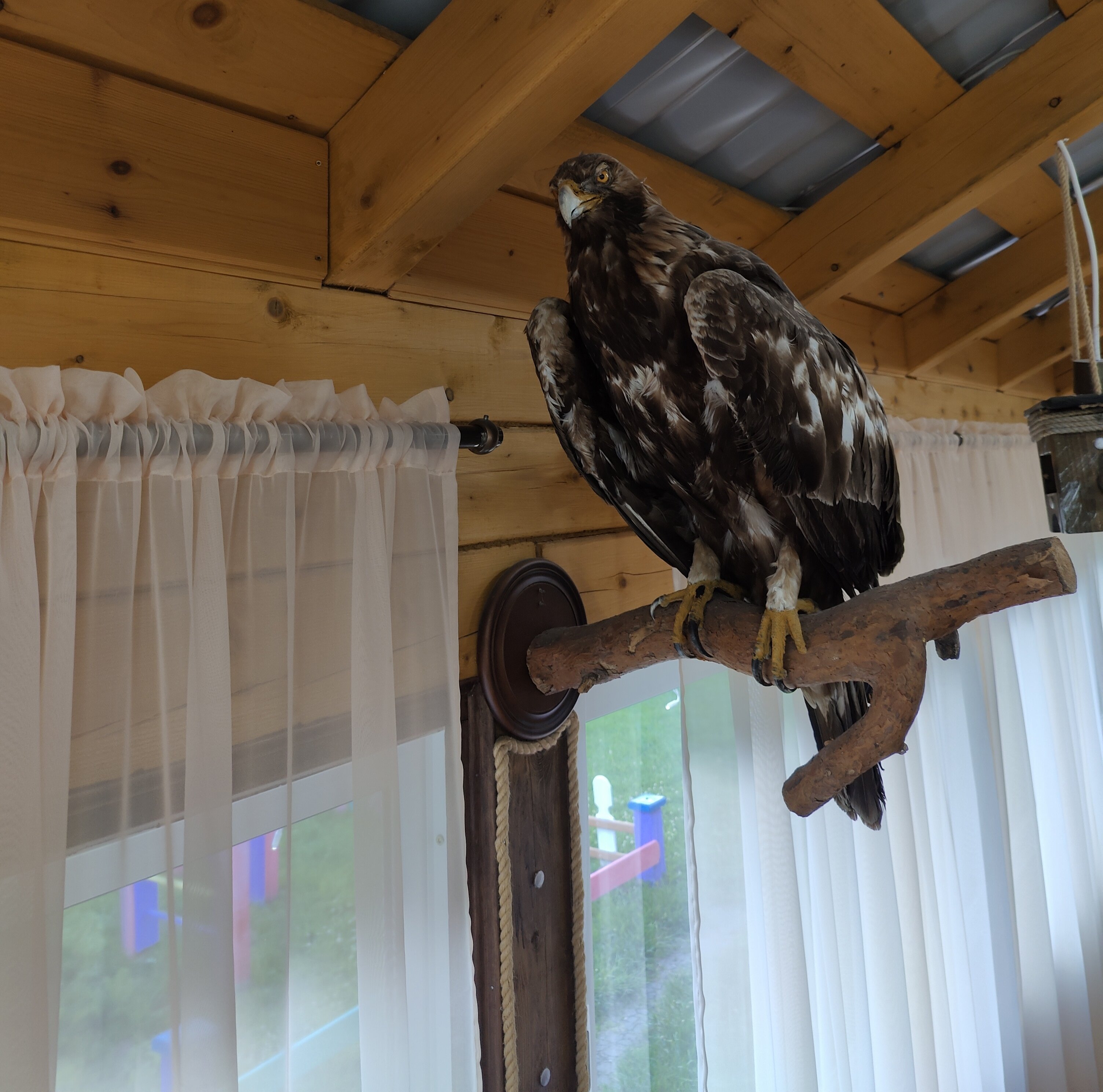 Фото Усадьба Литопур