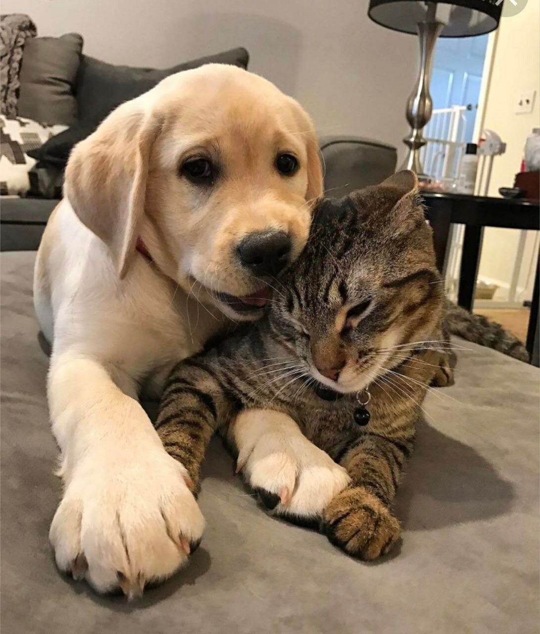 Фото Номера Парк-Отель