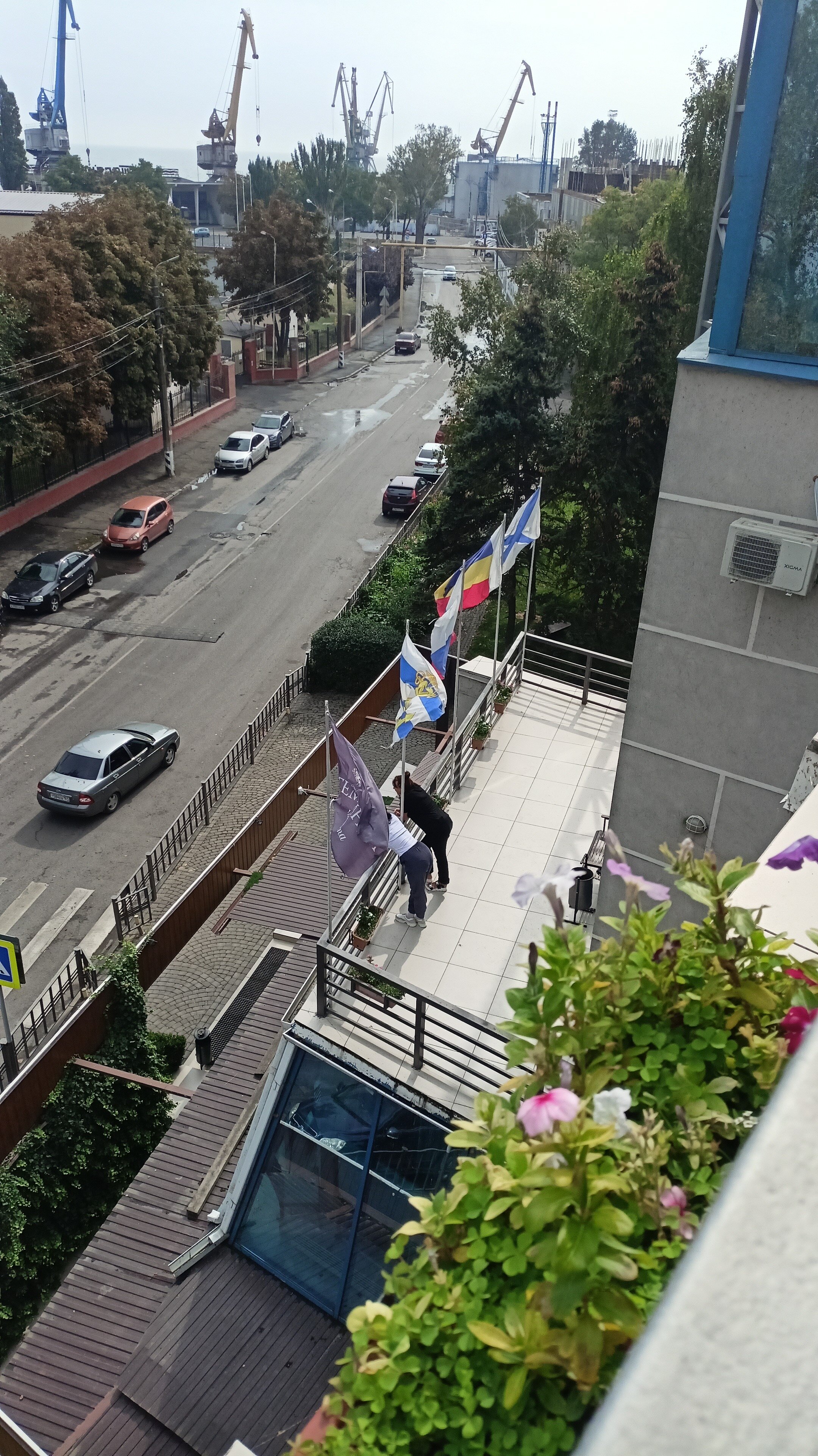 Фото Темиринда