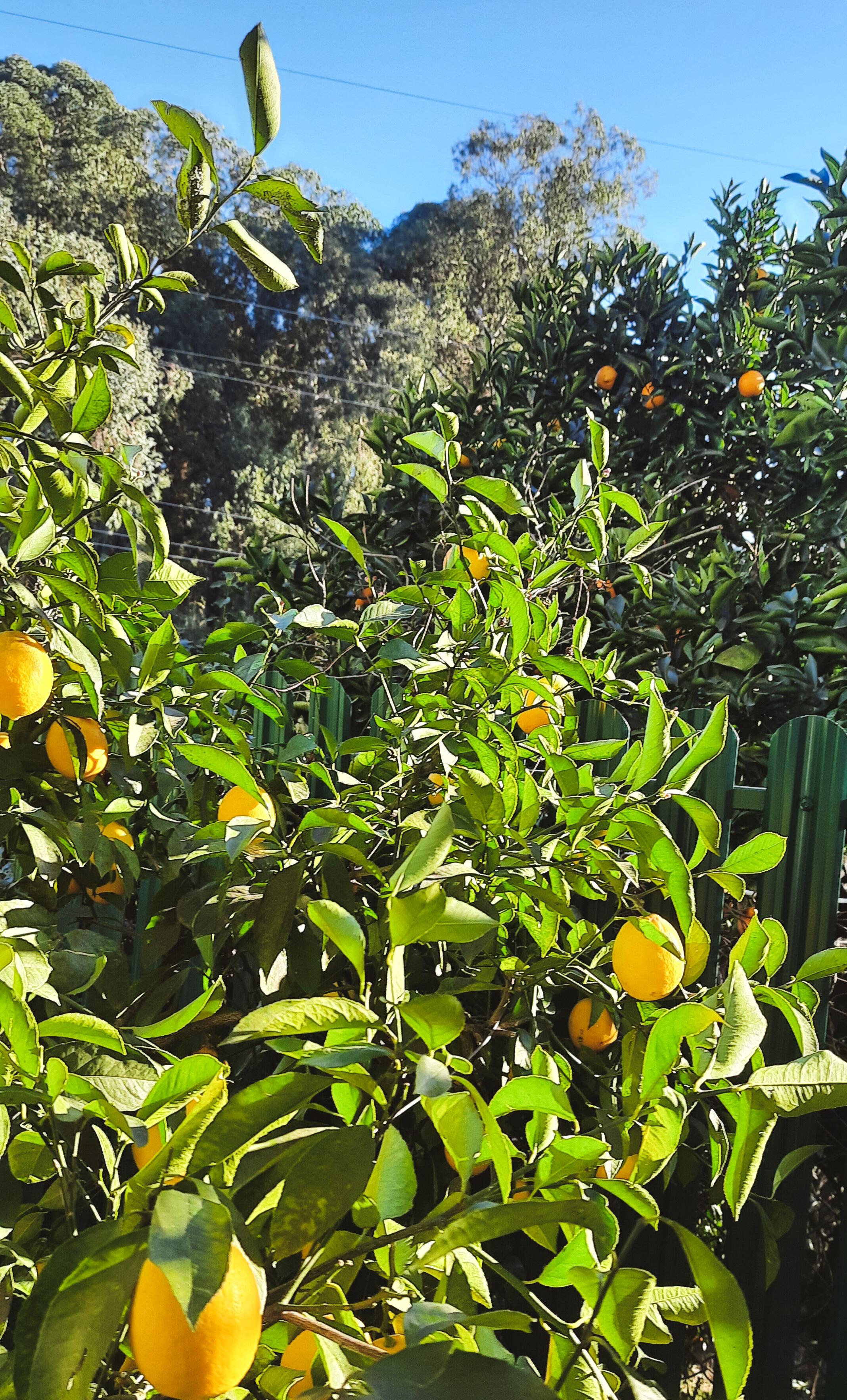 Фото Домик у моря