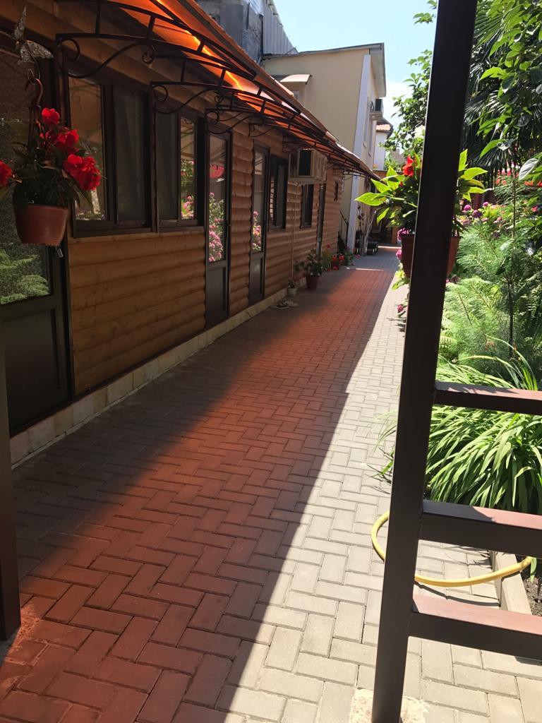 Фото ХурмаМимоза