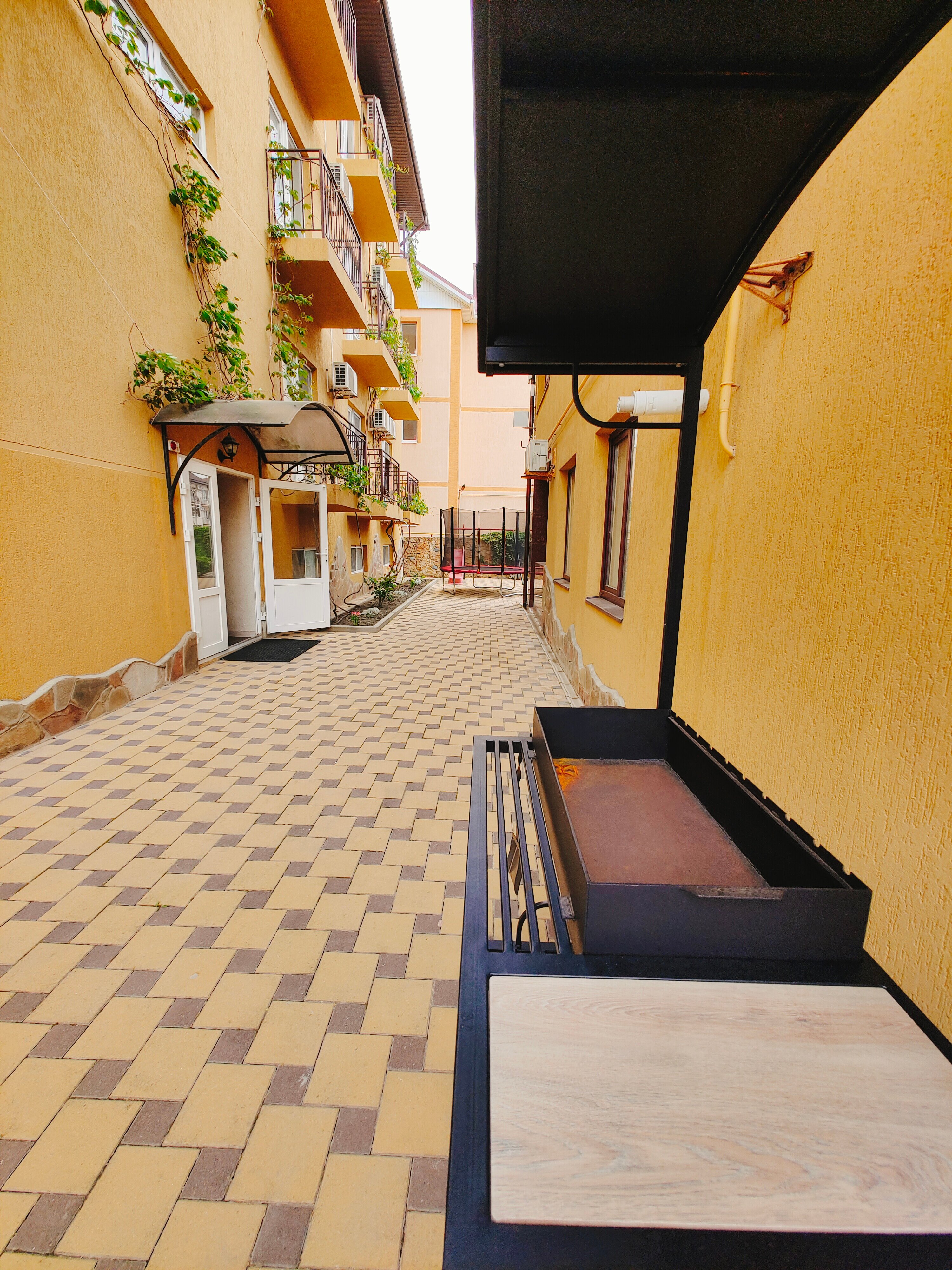 Фото Наутилус