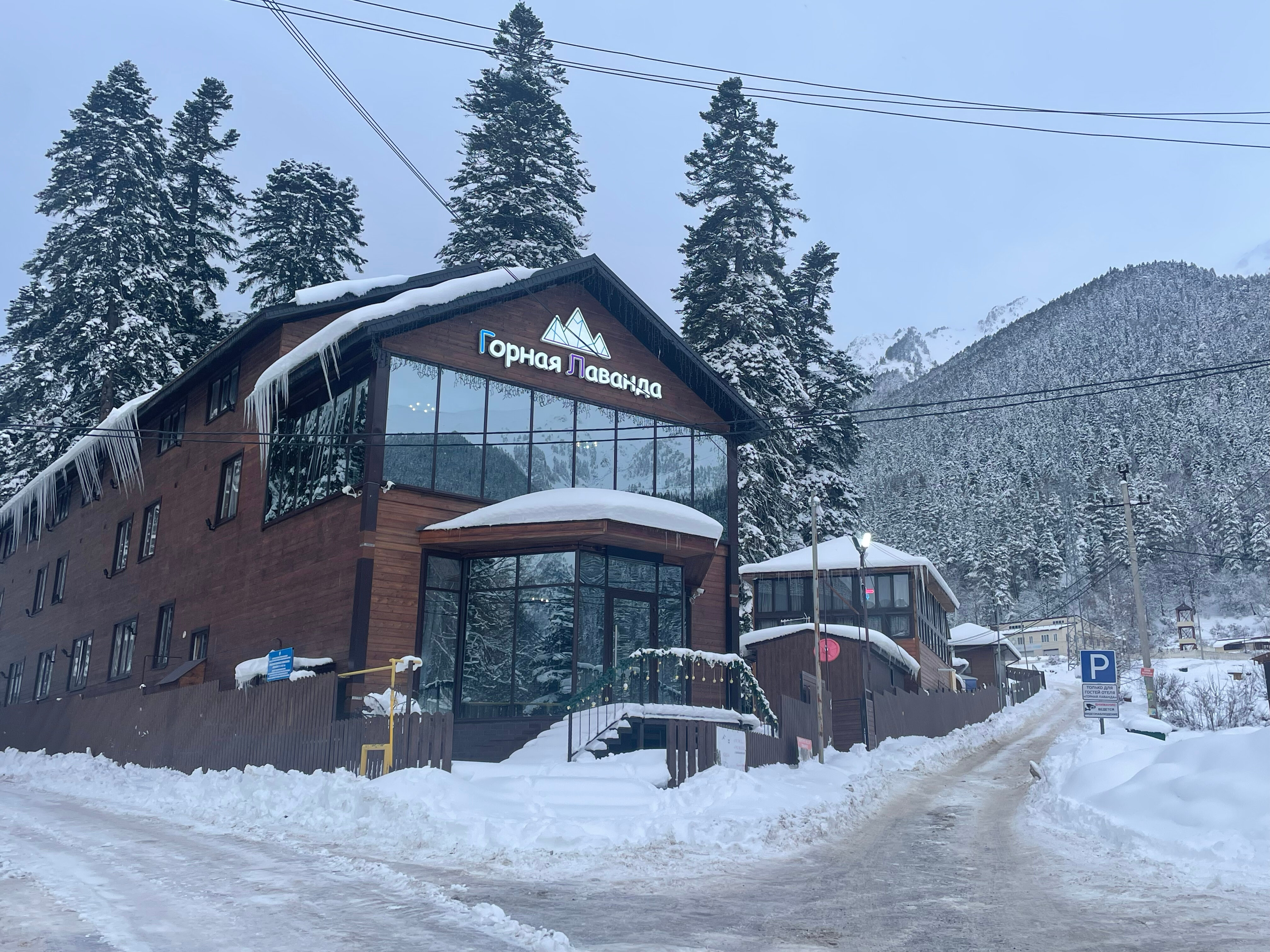 Фото Горная Лаванда