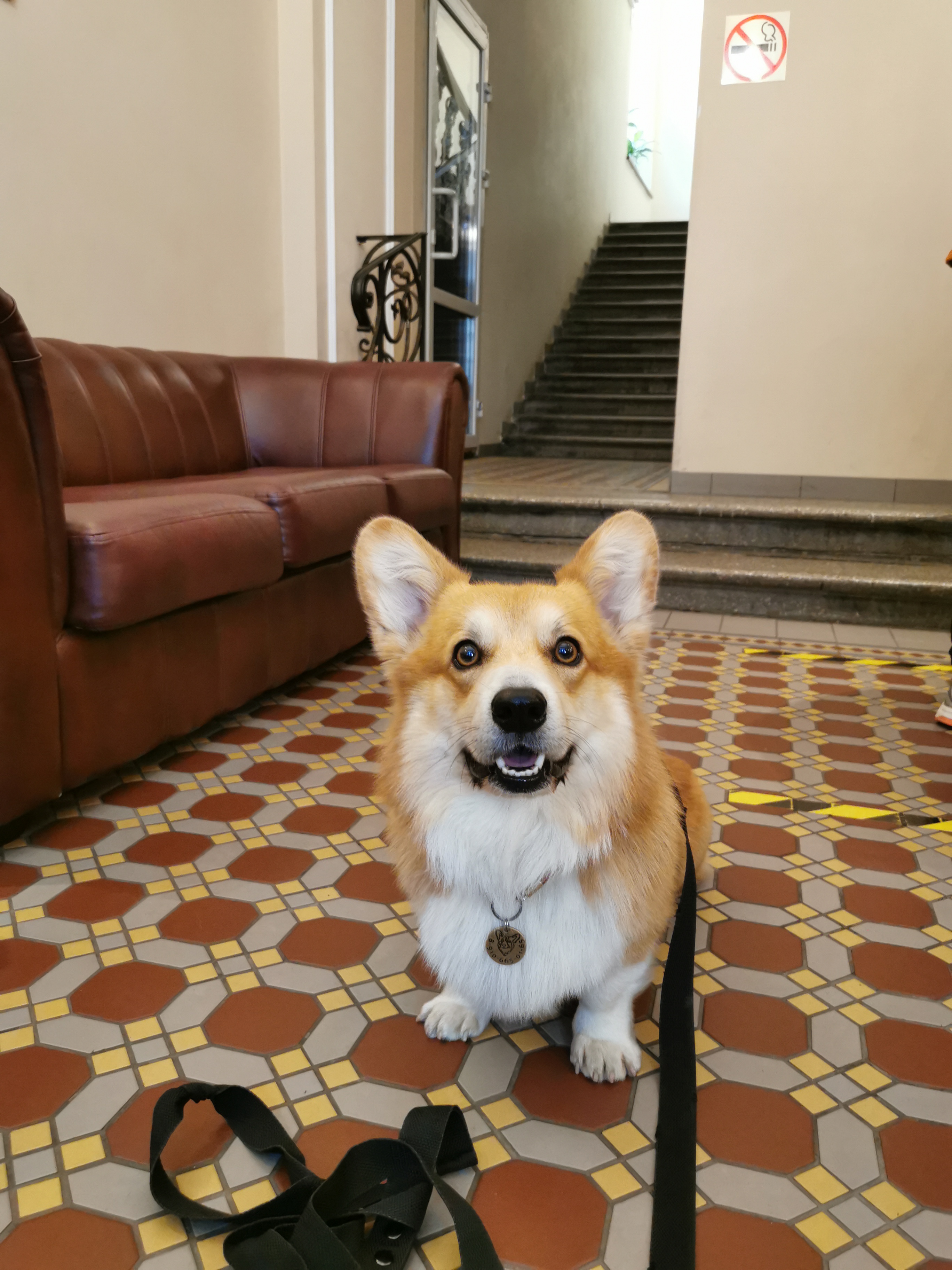 Фото Атриум