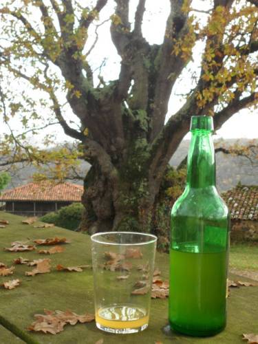 Фото Pension la Posada