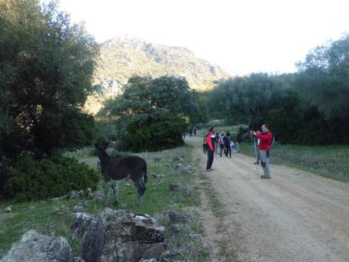 Фото Casa Emilia