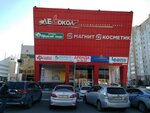 Novita (Antona Petrova Street, 219А), real estate agency