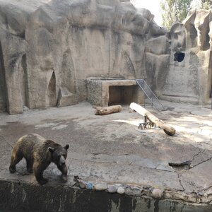 Tashkent Zoological Garden (Tashkent, Bogishamol Street, 232), zoo