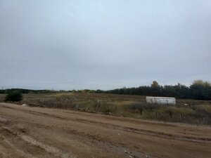 Питомник декоративных культур (Волгоградская область, Волжский, питомник Декоративных культур), сад в Волжском