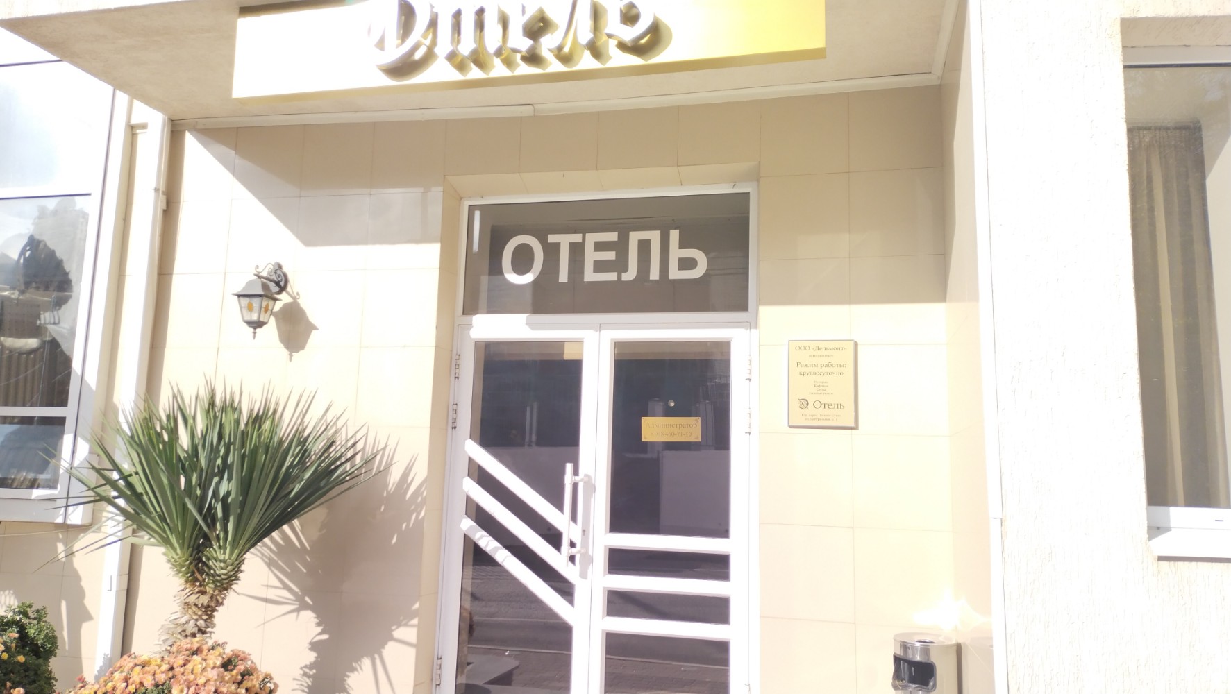 Фото Дельмонт