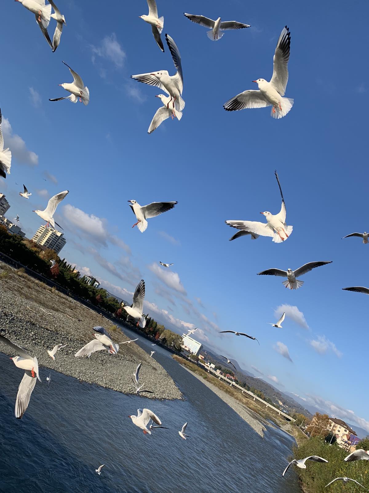 Фото Анатоль