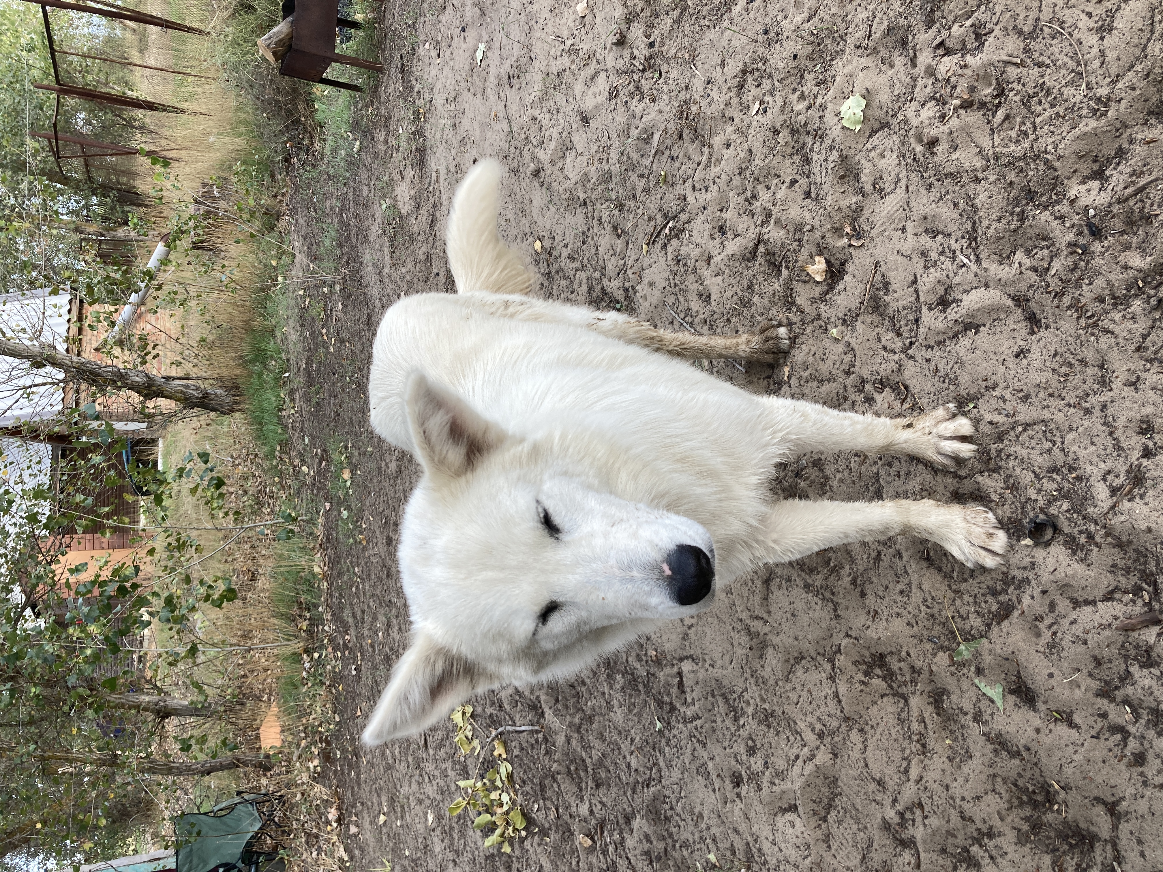 Фото Алимовский плес