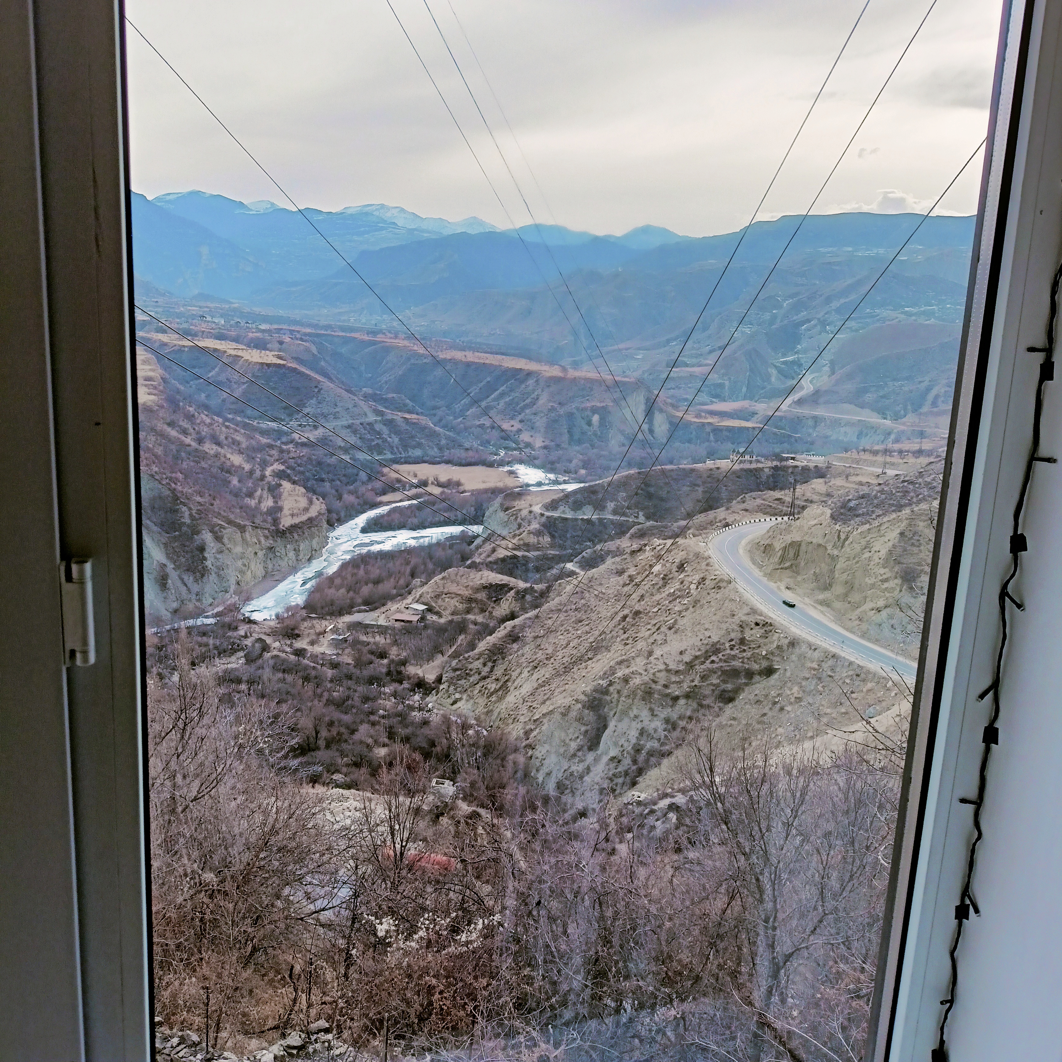 Фото Пение птиц