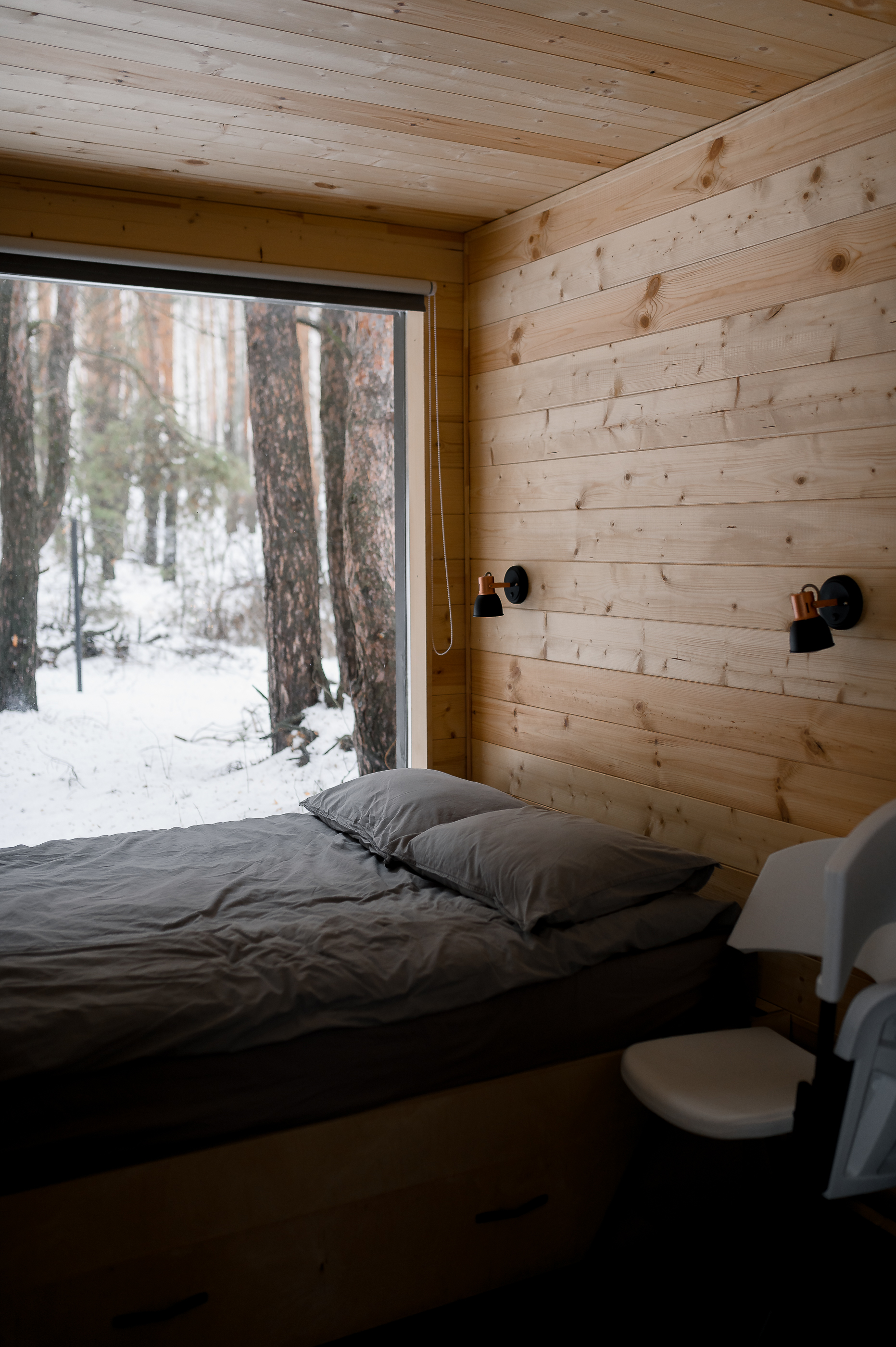 Фото Место под соснами