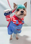 JefFree (Olega Koshevogo Street, 9), pet salon