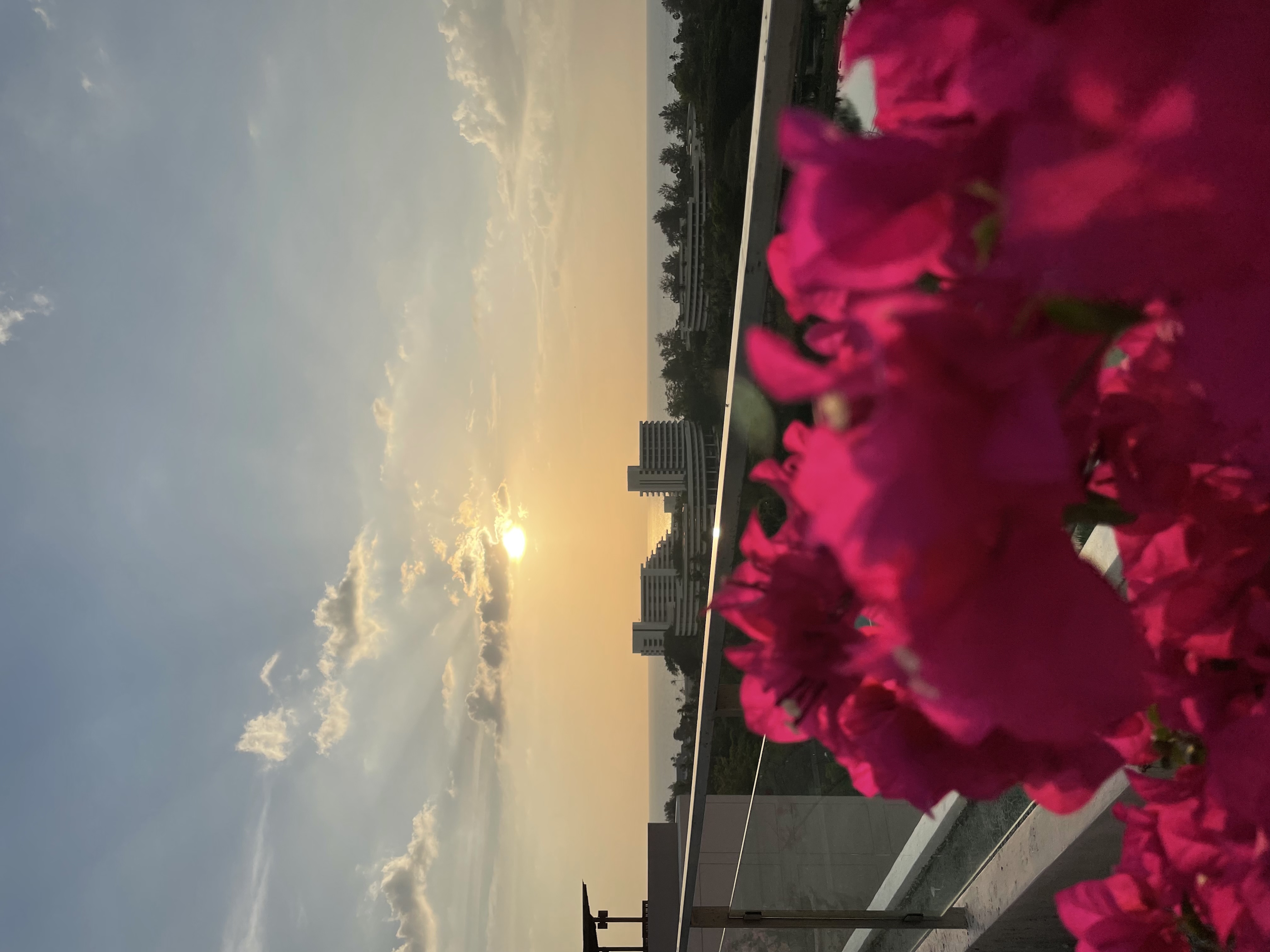 Фото Princess Seaview Resort & SPA