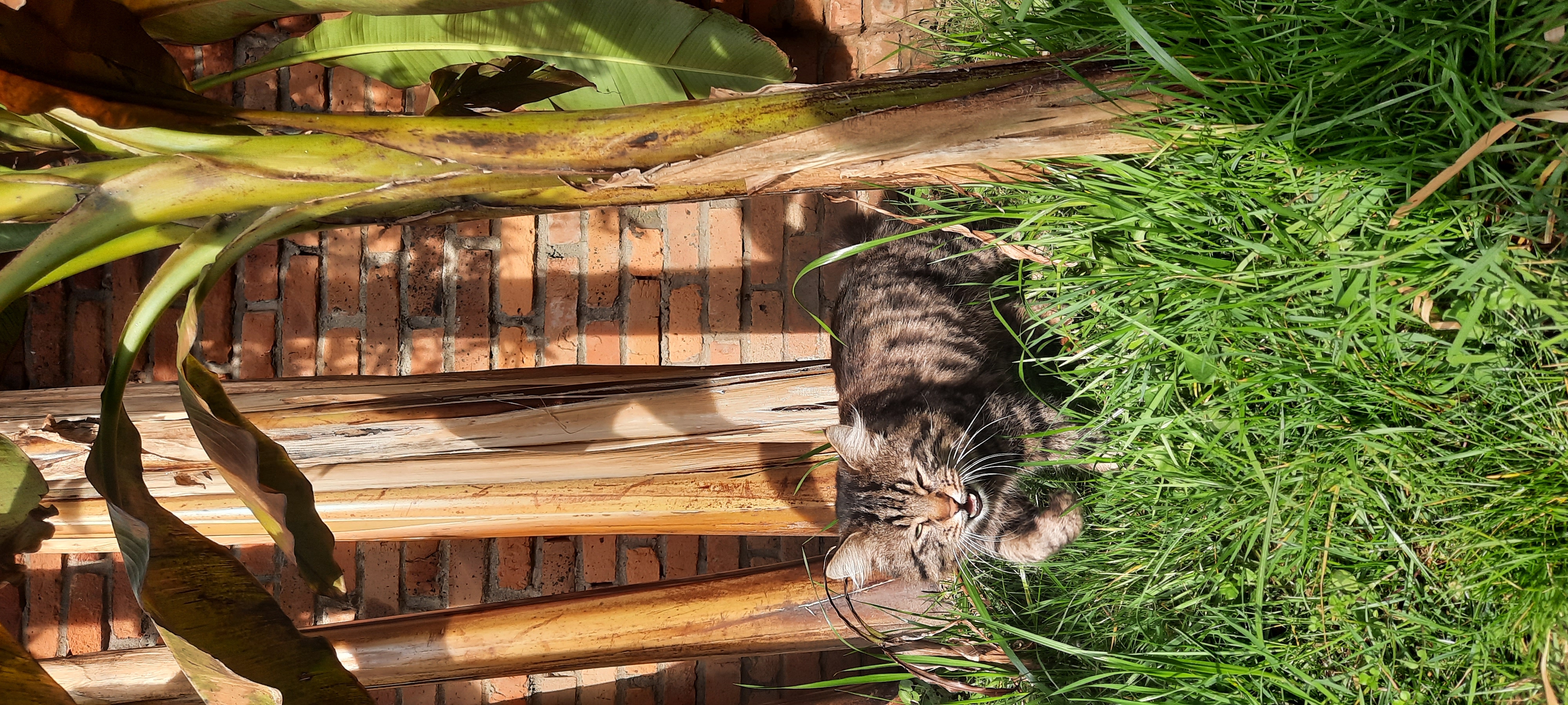 Фото Лофт Гарден