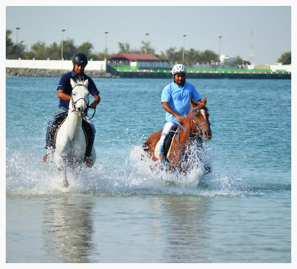 Sports association Dhabian Equestrian Club, Abu Dhabi, photo