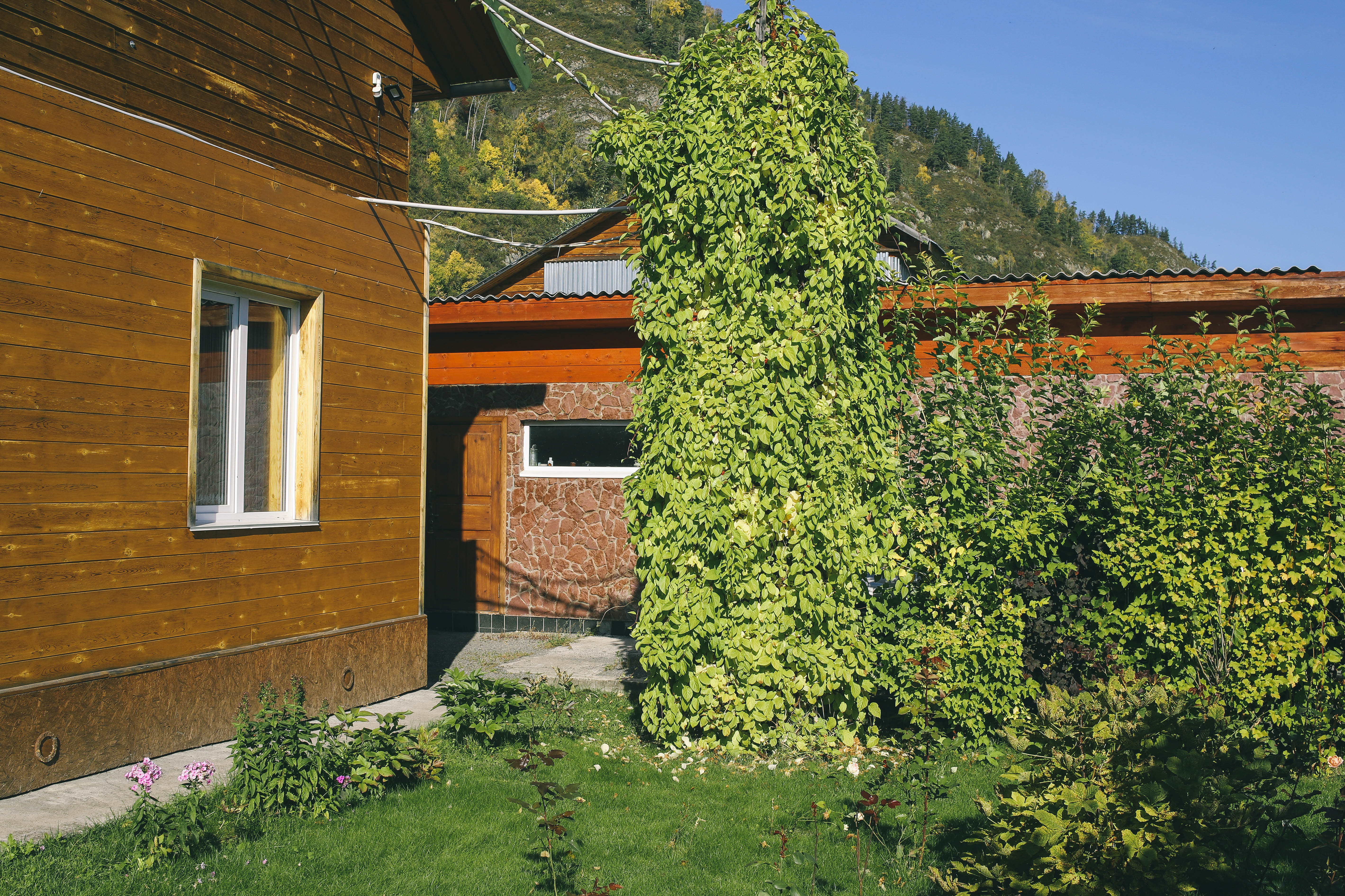 Фото Atkaya Garden