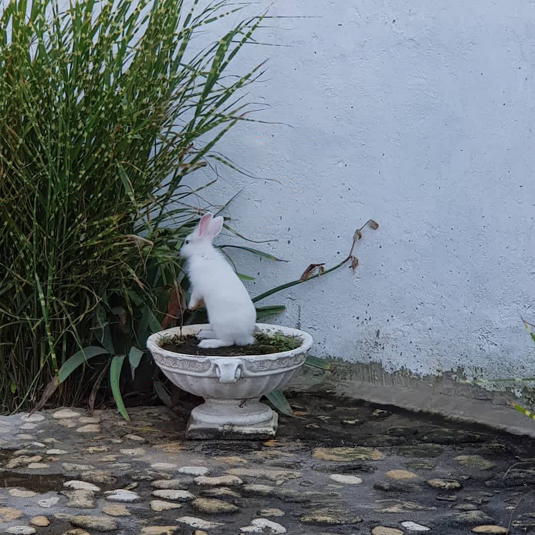 Фото Агидель