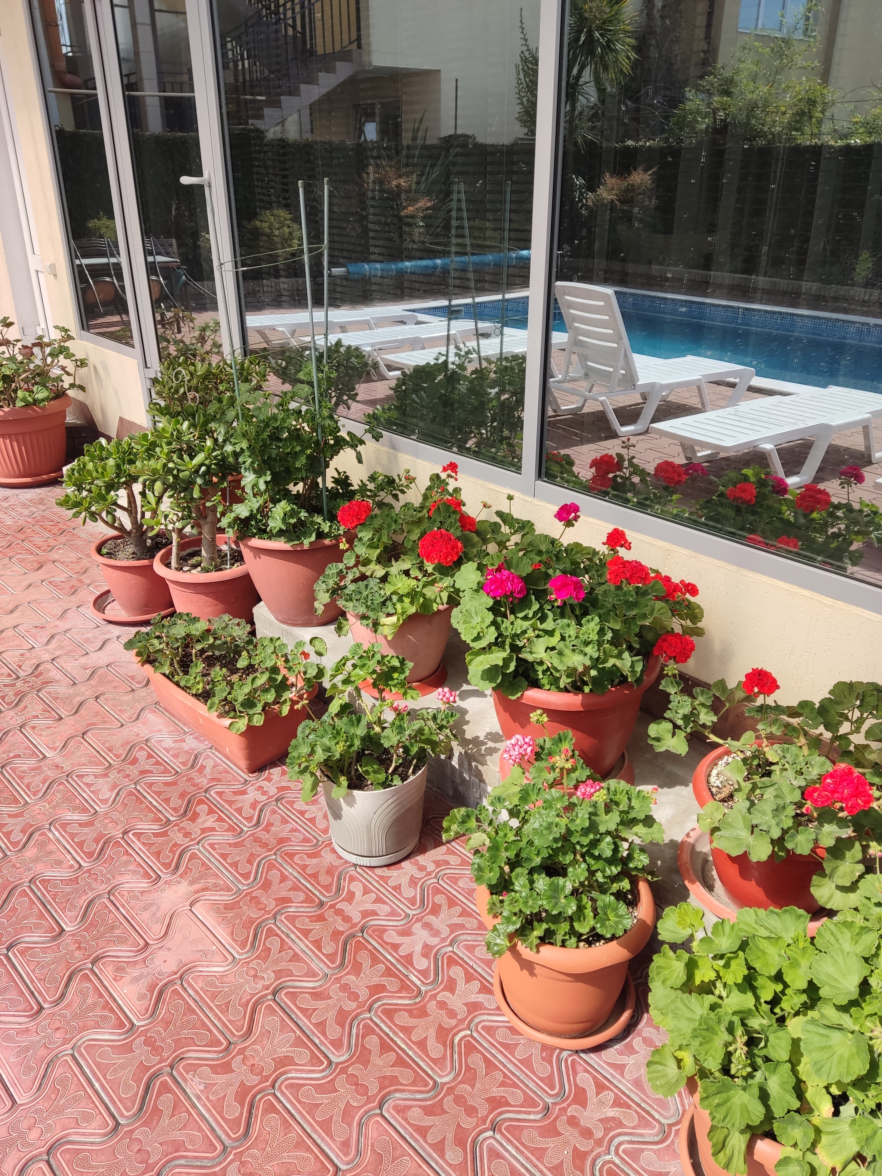 Фото Вилла Валентина