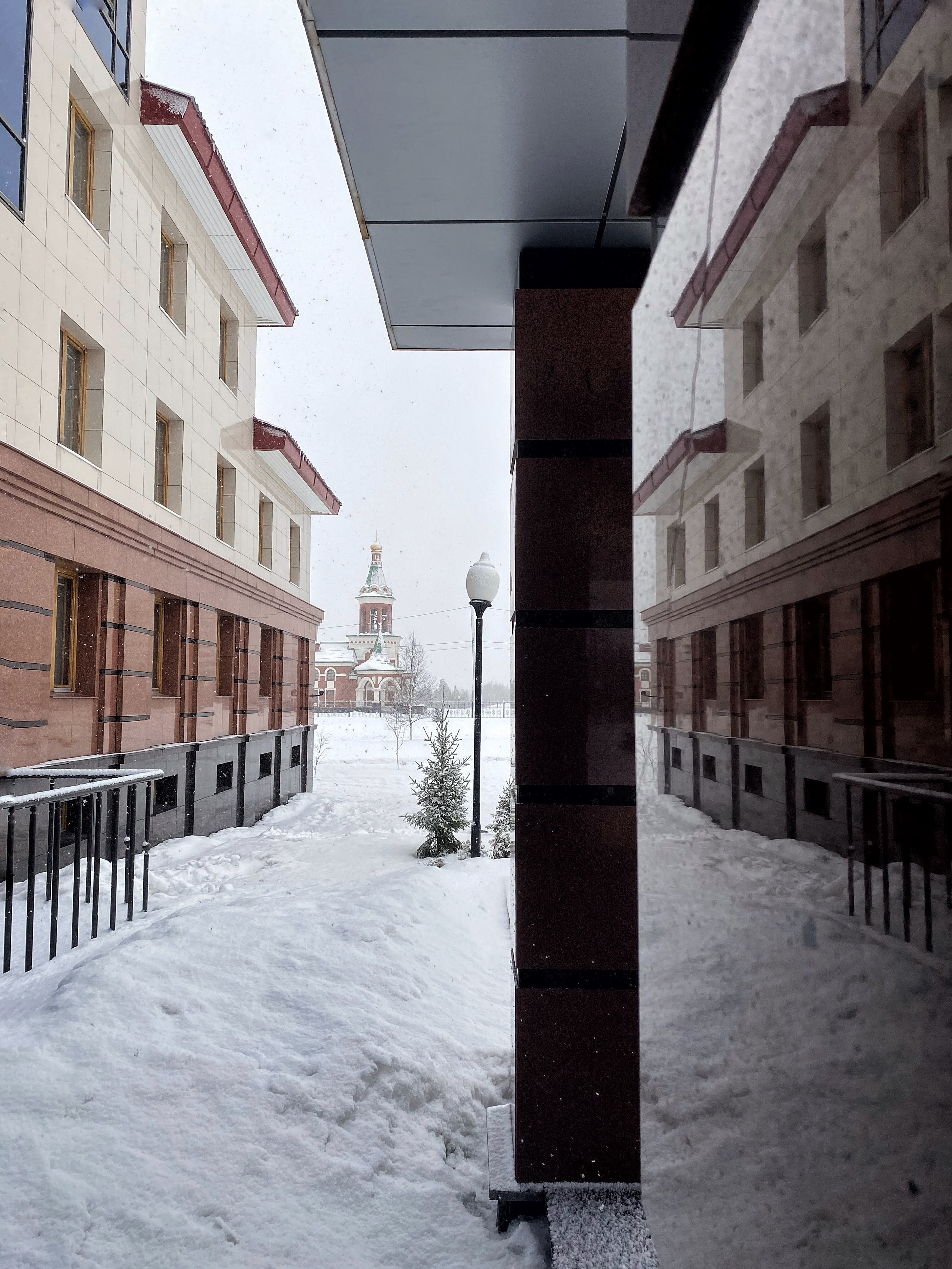 Фото Полярная звезда