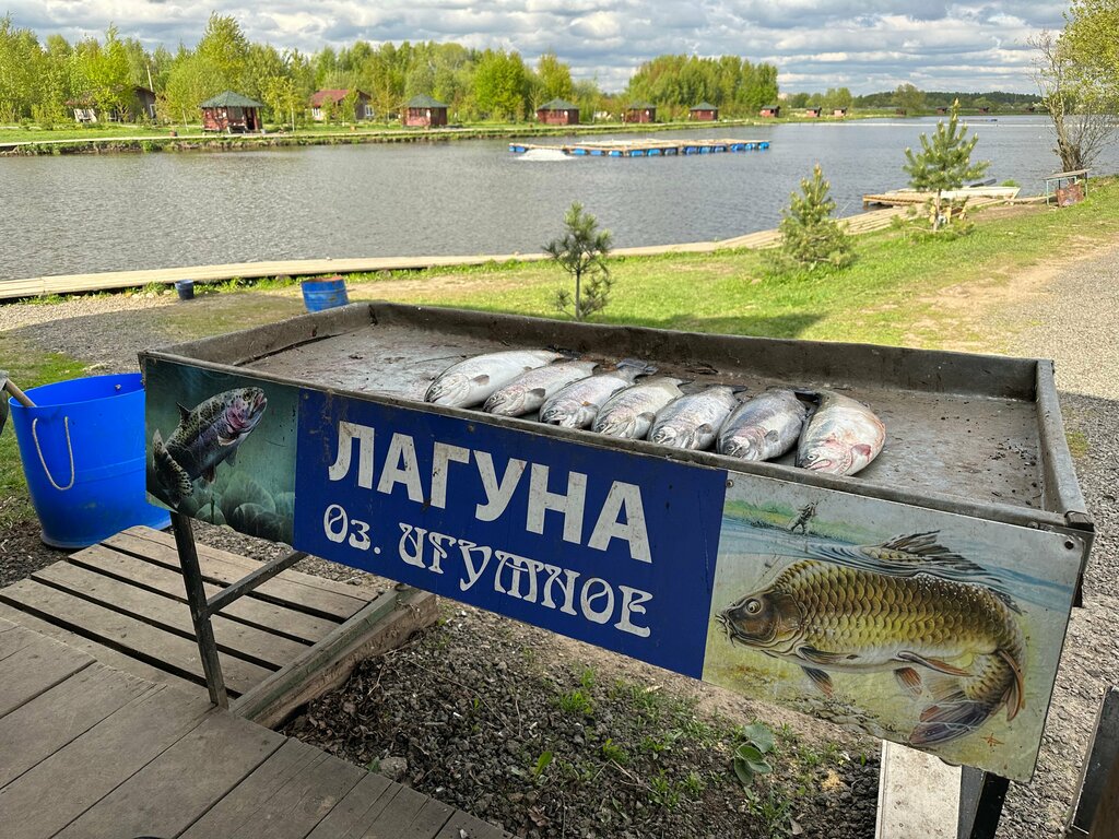 Рыбалка лесопарк
