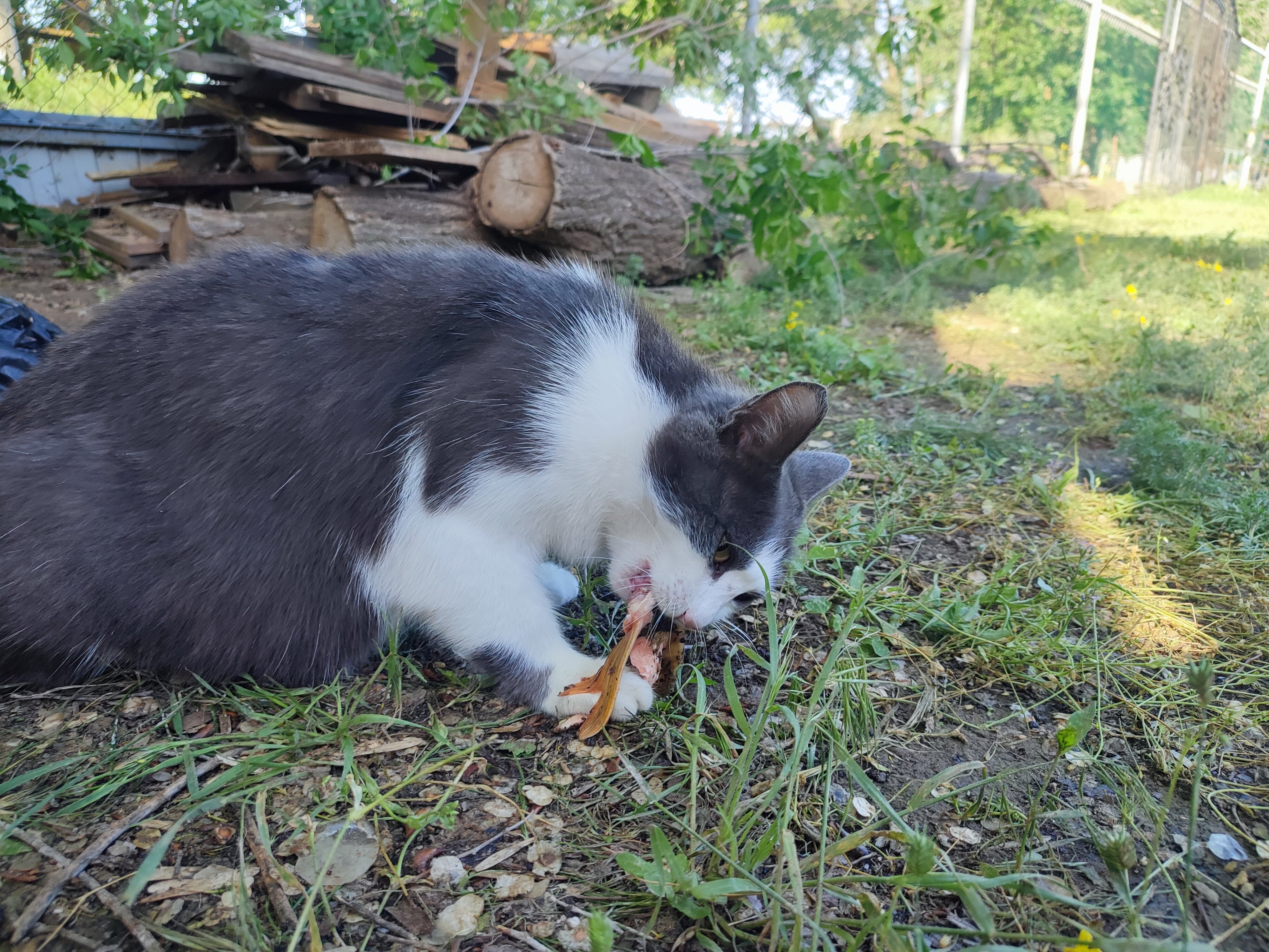 Фото Рыбацкие просторы