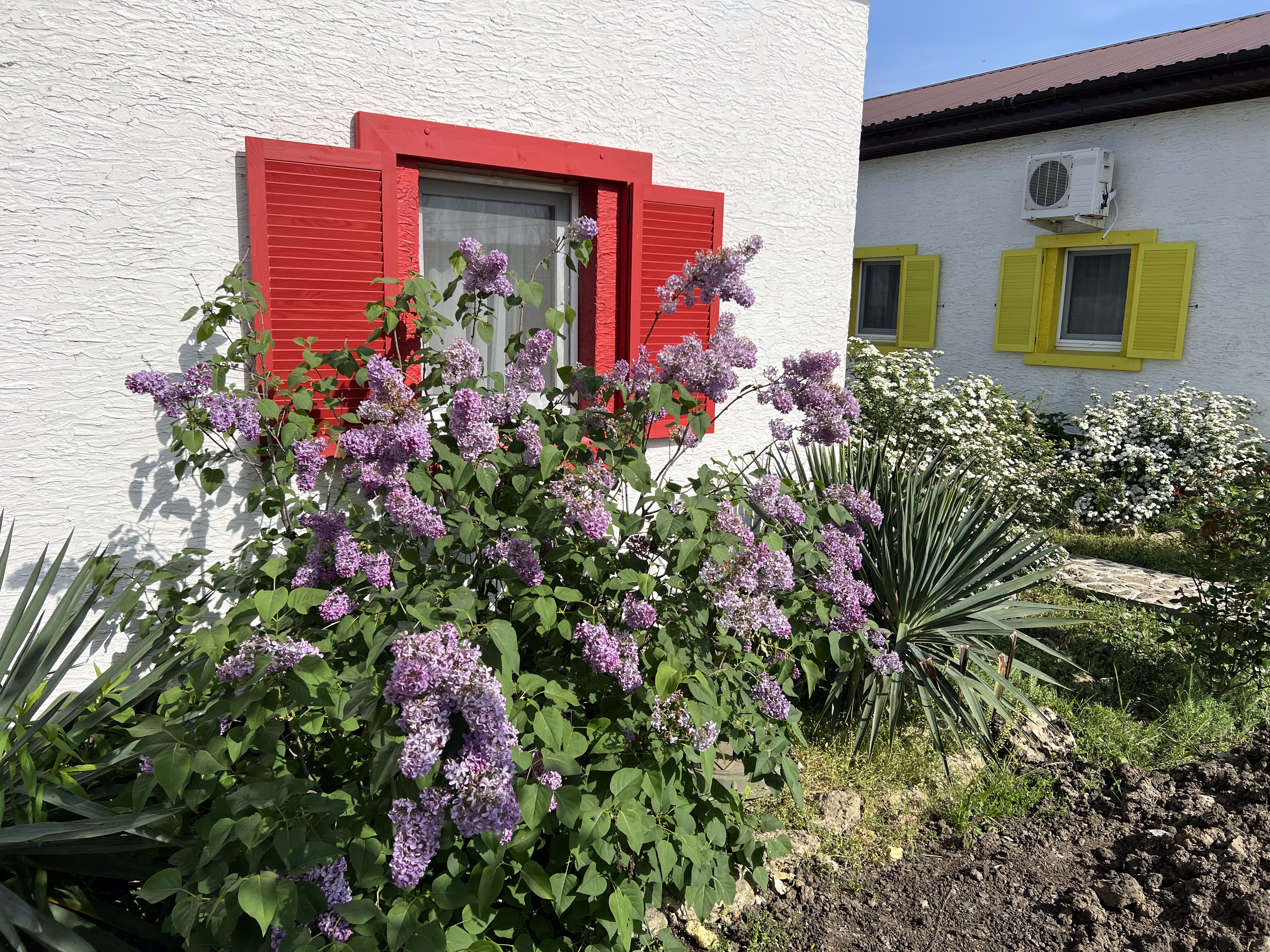 Фото Терра23