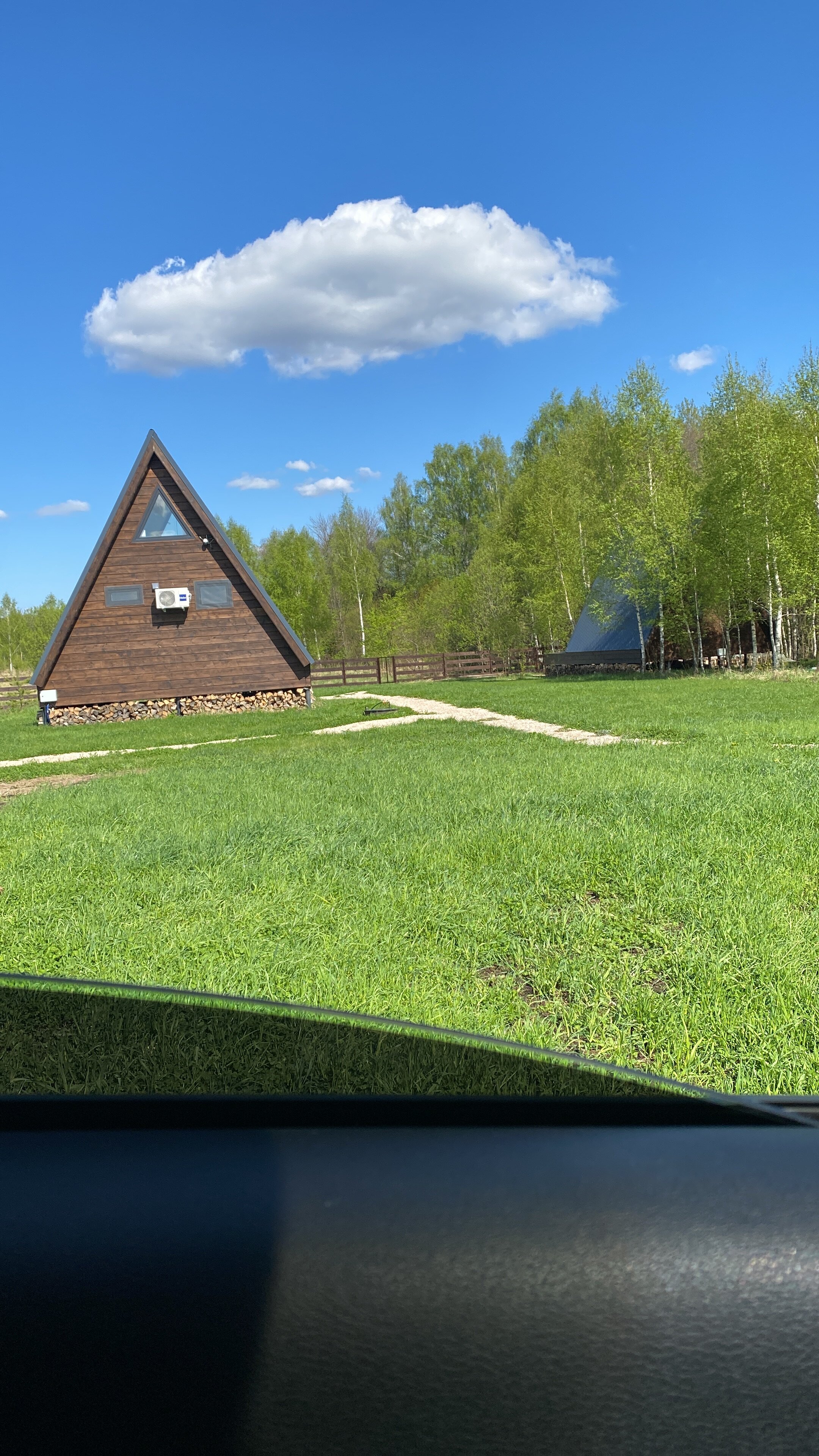 Фото Лес и небо