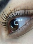 Dariasi. Brows (Lenina Street, 20), eyebrow and eyelash salon