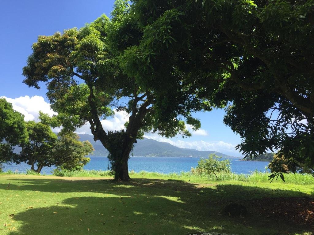 Фото Guanumbis Hotel