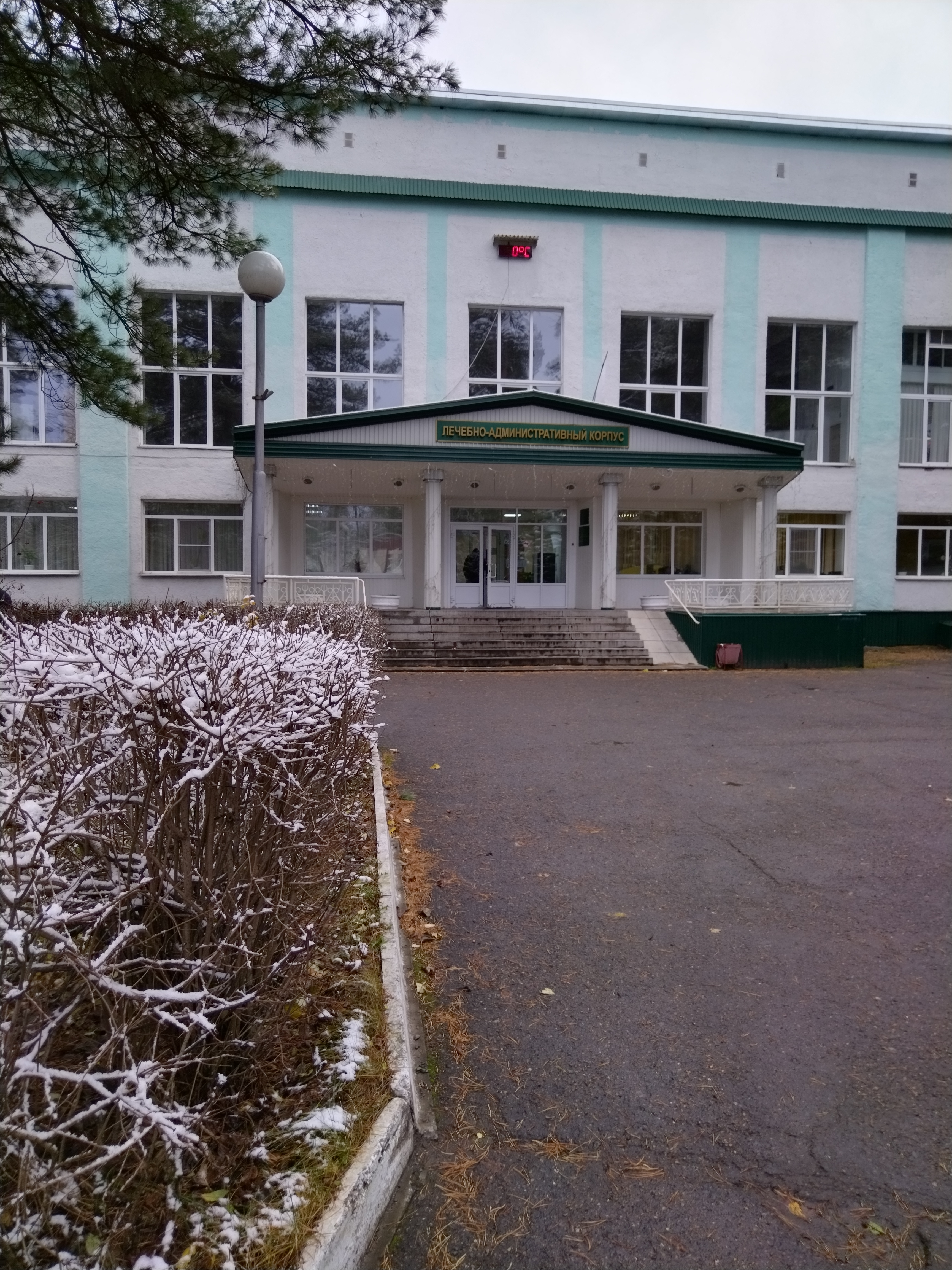 Фото Кедровый бор