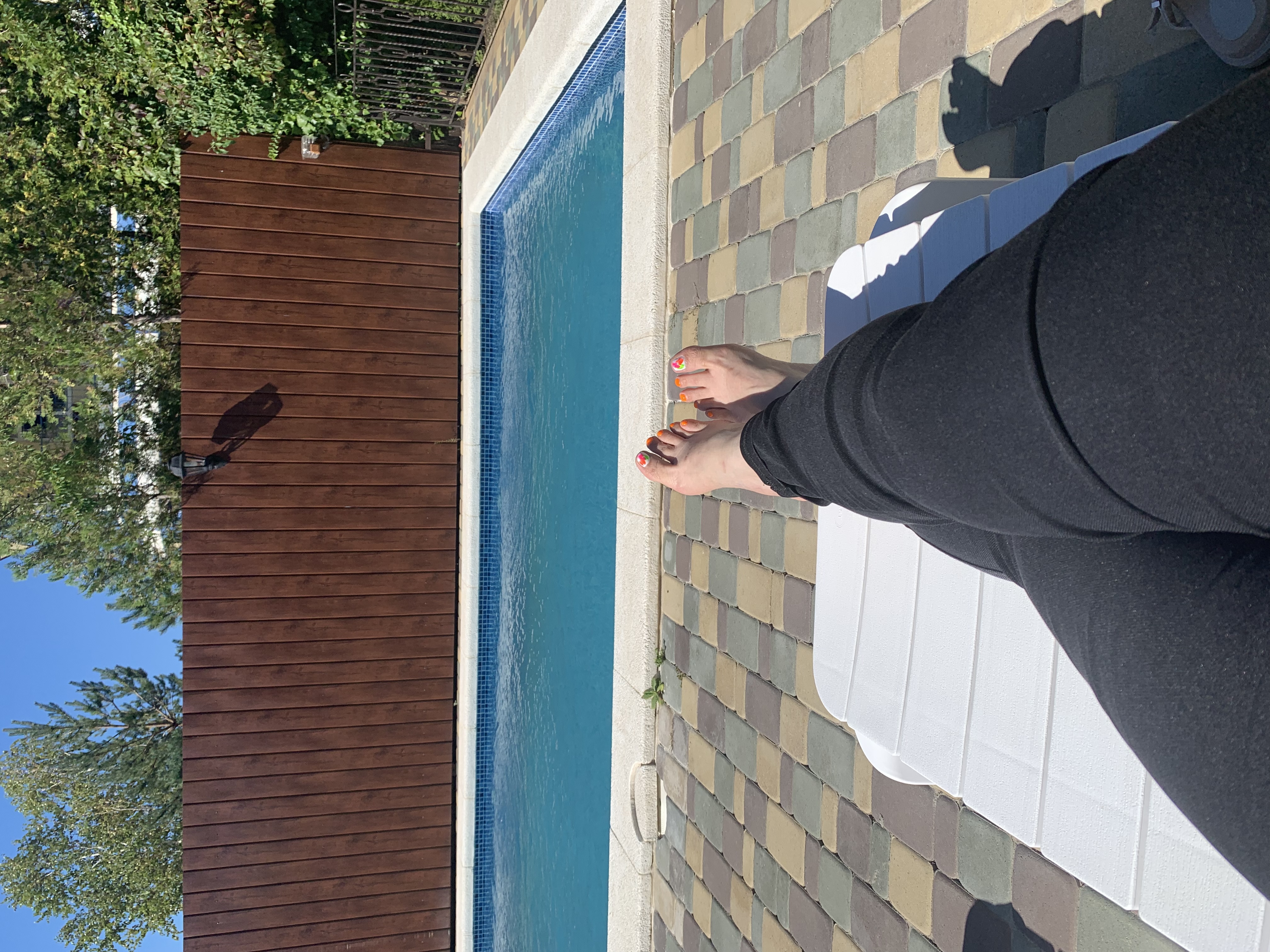 Фото Альбатрос