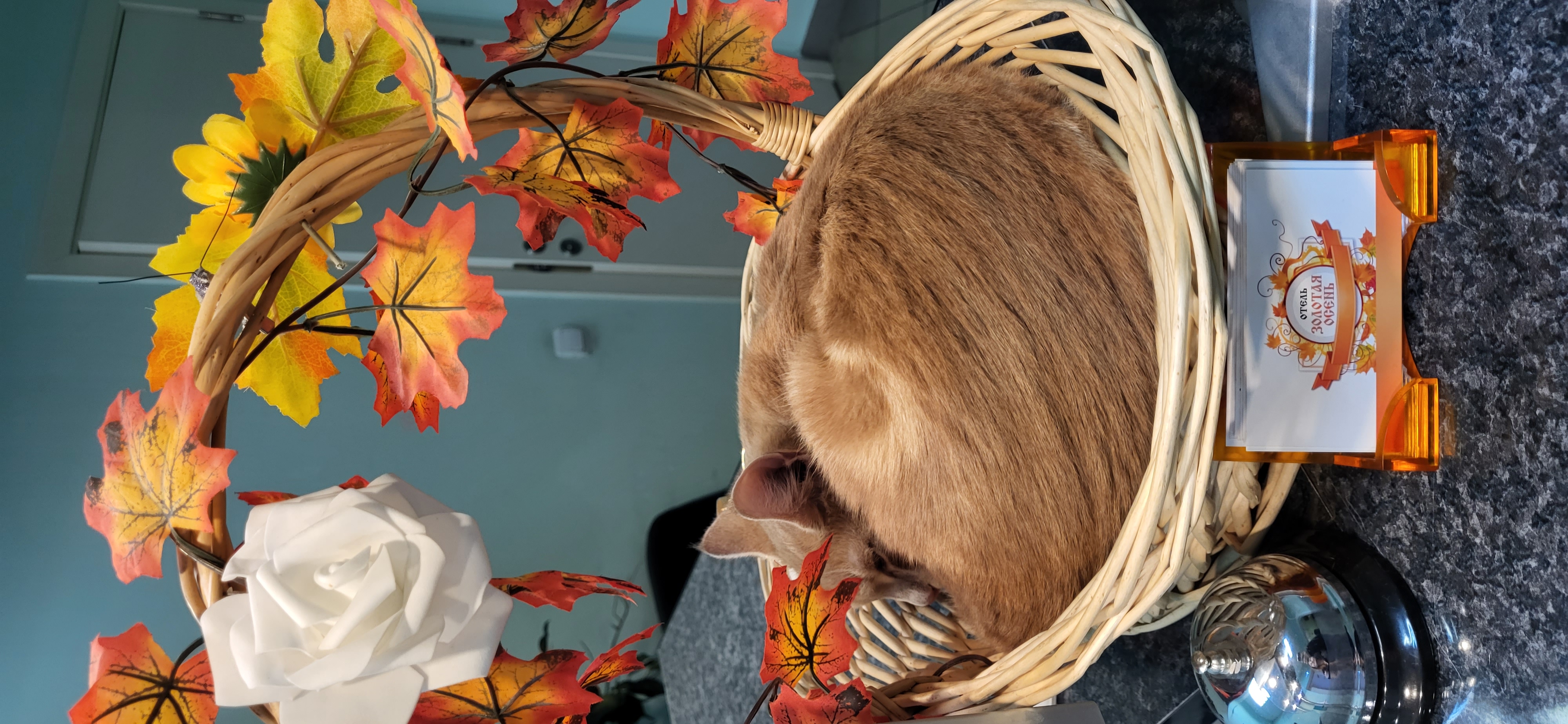 Фото Золотая осень