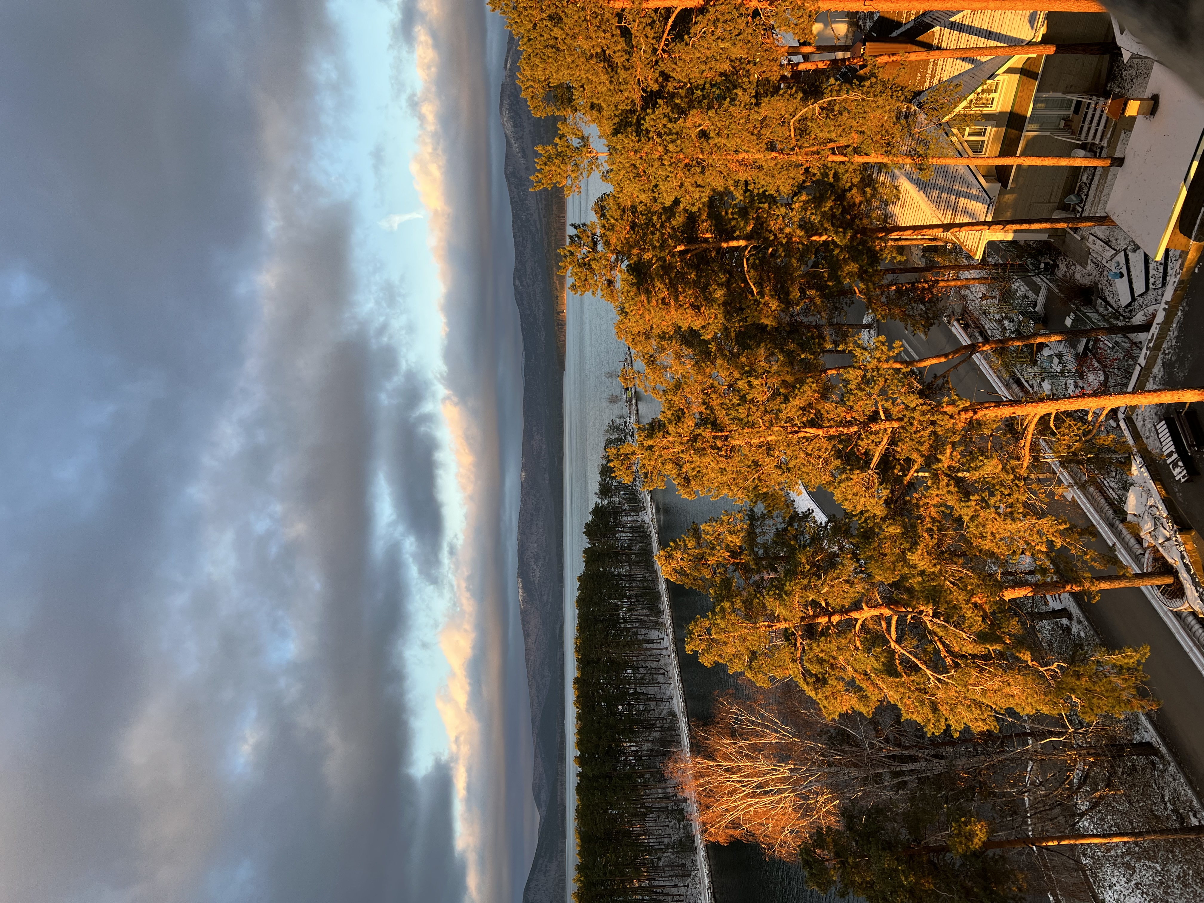 Фото Турголд