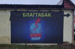 Благ Табак (Republic of Bashkortostan, Blagoveshchensk, Sotsialisticheskaya ulitsa) ، متجر مستلزمات التدخين