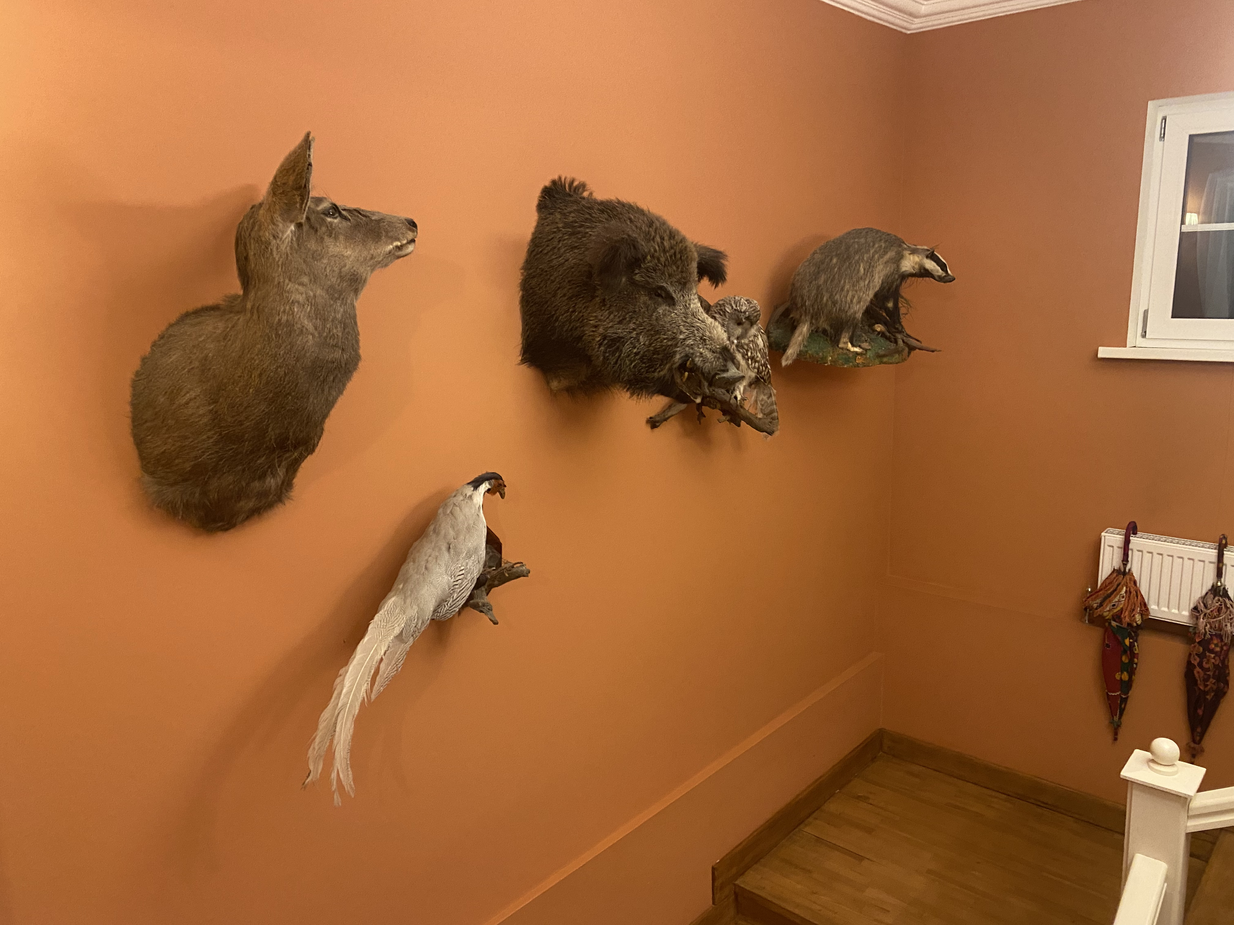 Фото Агрокультурный-туристический комплекс Богдарня