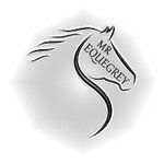 Mr. EqueGrey (Promyshlennaya ulitsa, с5), point of delivery