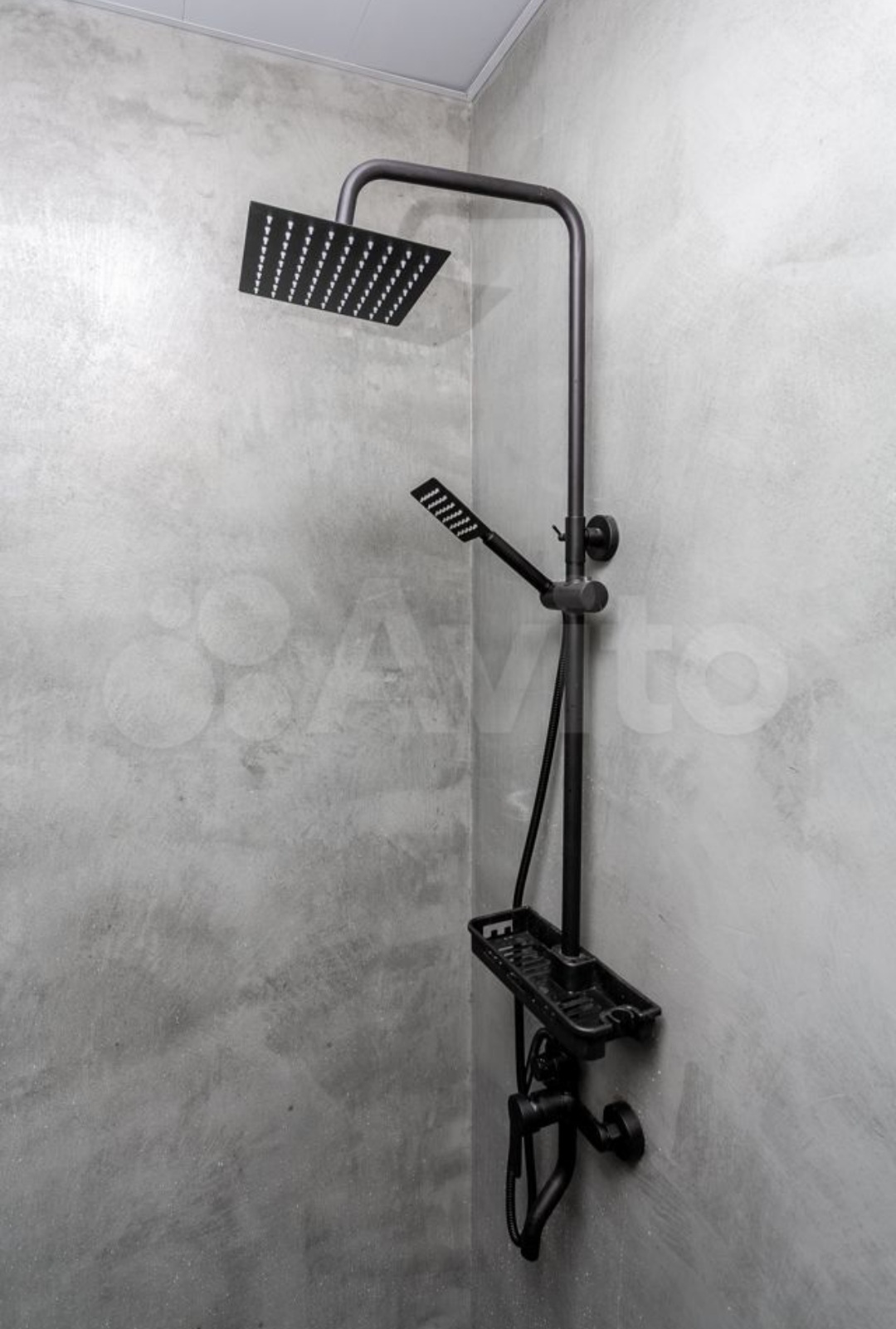 Фото Грифон