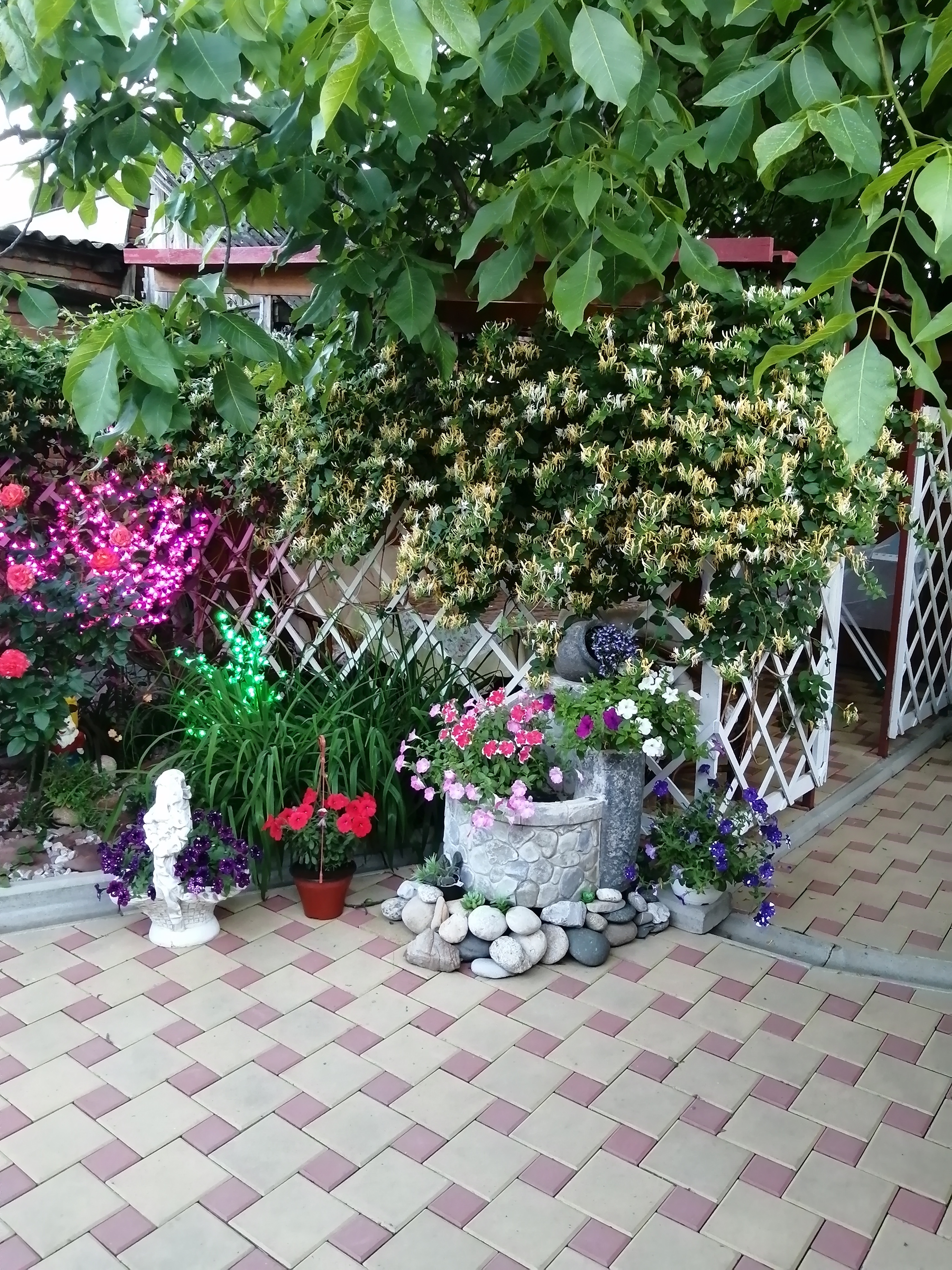 Фото Уютный дом